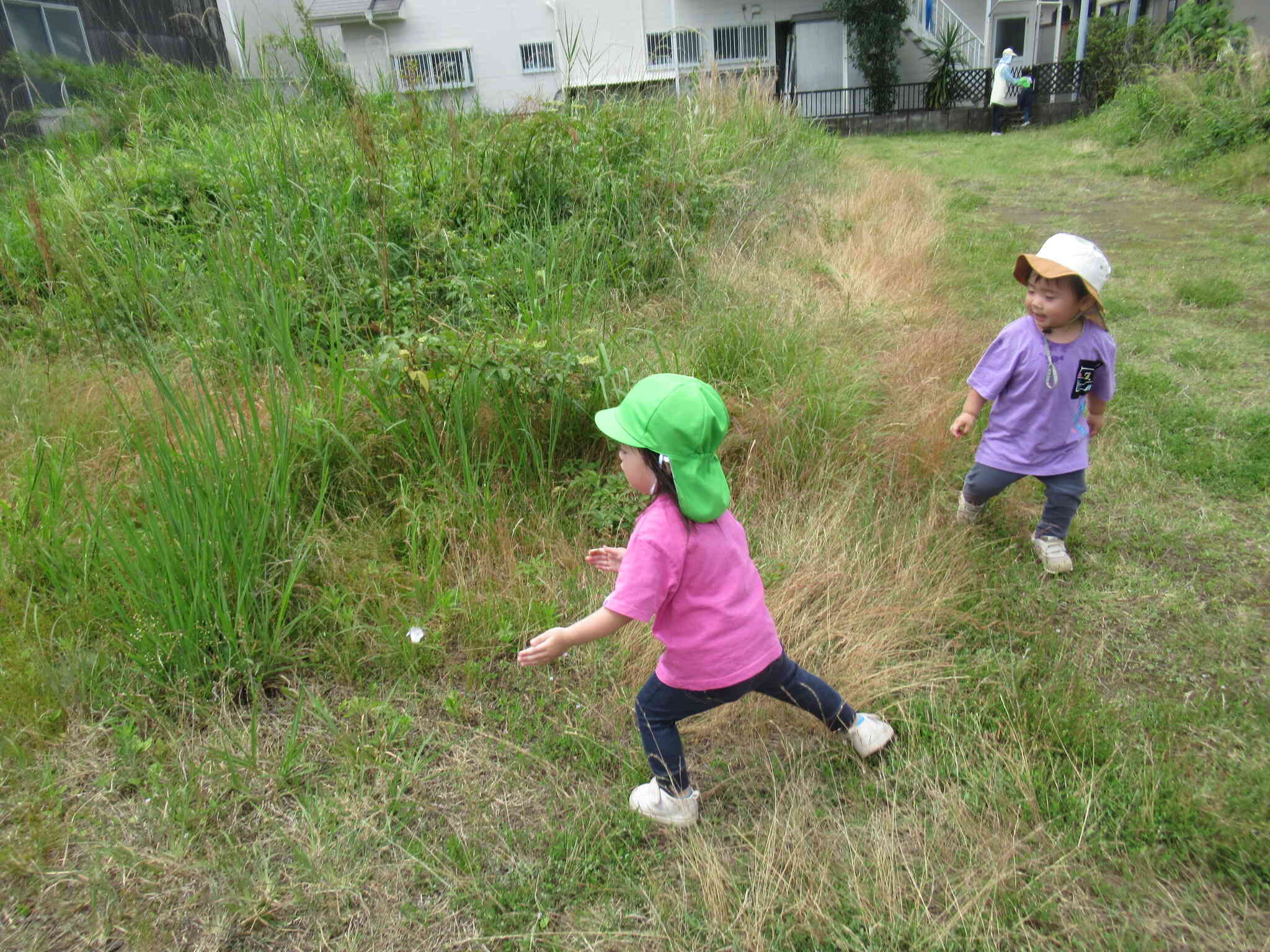 ちょうちょを見つけて一生懸命おいかけました