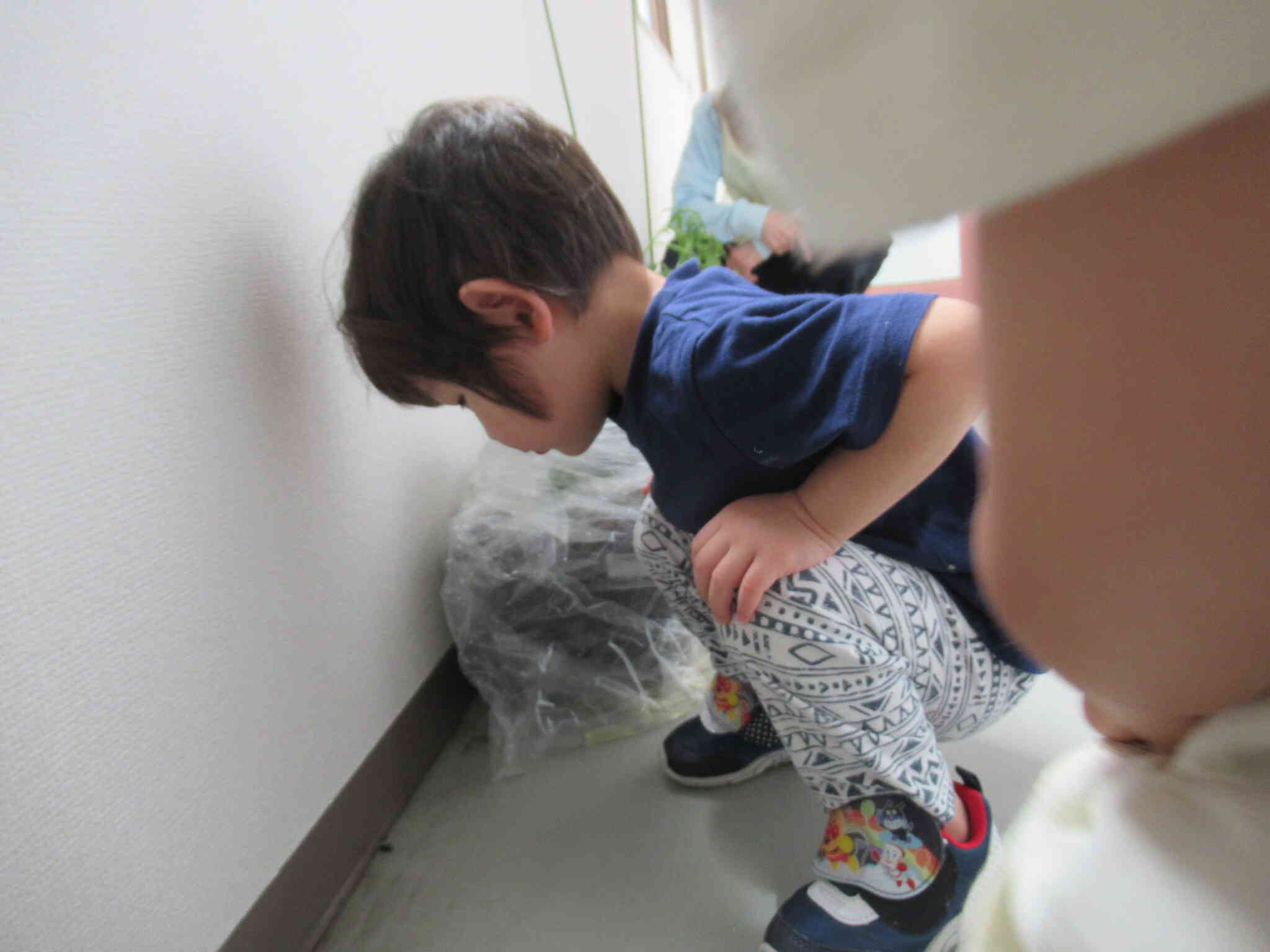 発見☆