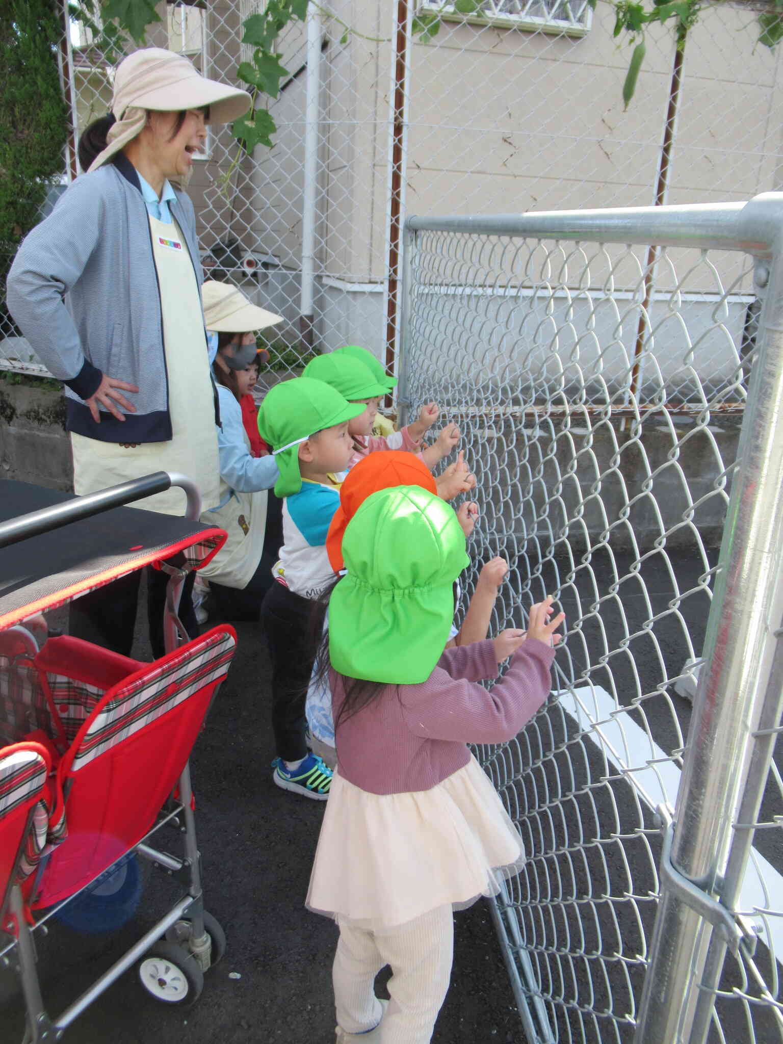 このおててと後ろ姿が最高にかわいいです♡