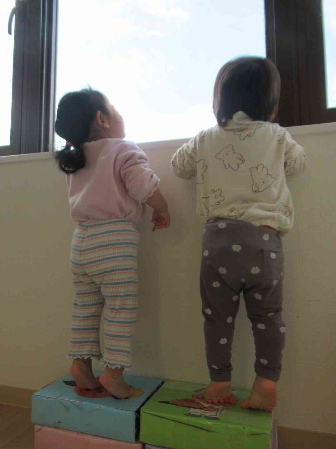 何が見えるかな？？