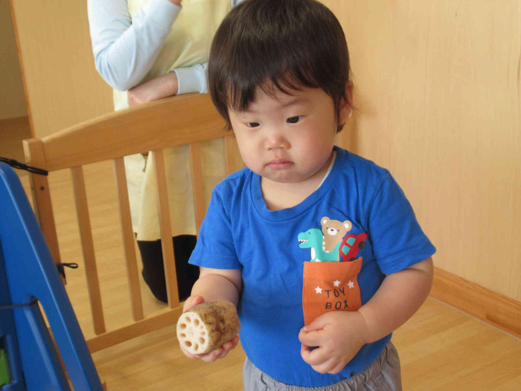 見て！穴のあいたレンコンさん