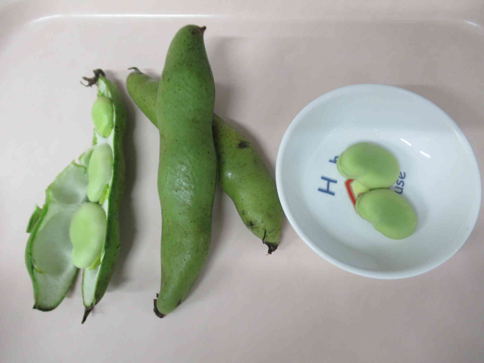 皮をむいたそら豆さん、今日のおやつで食べました♪