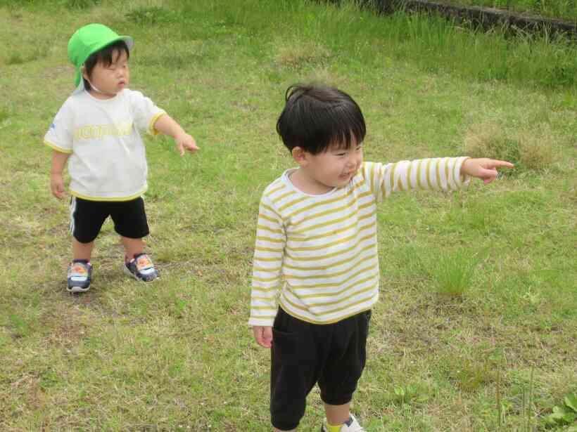 あ！なにか発見！！