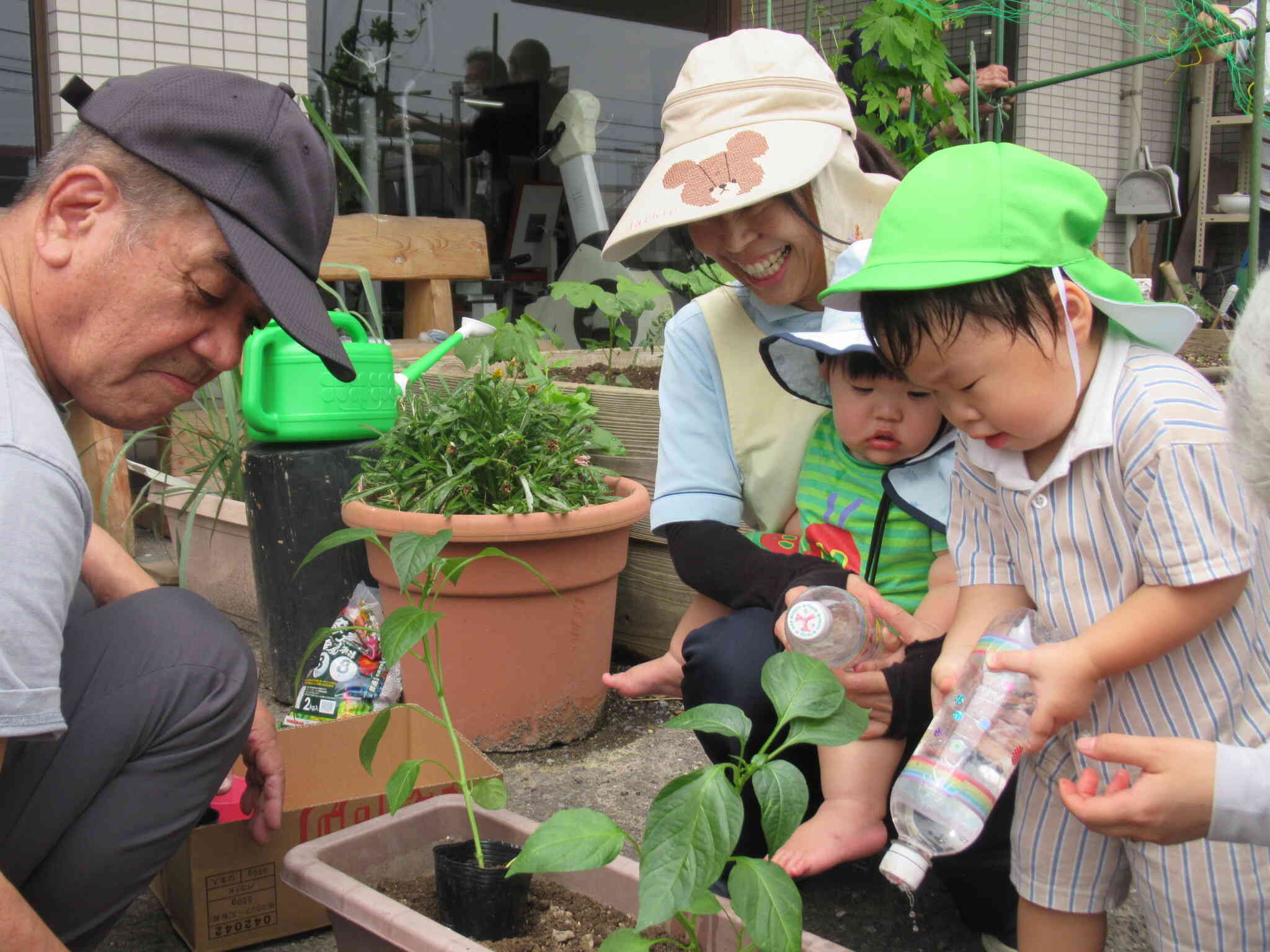 お野菜の苗植えを行ないました