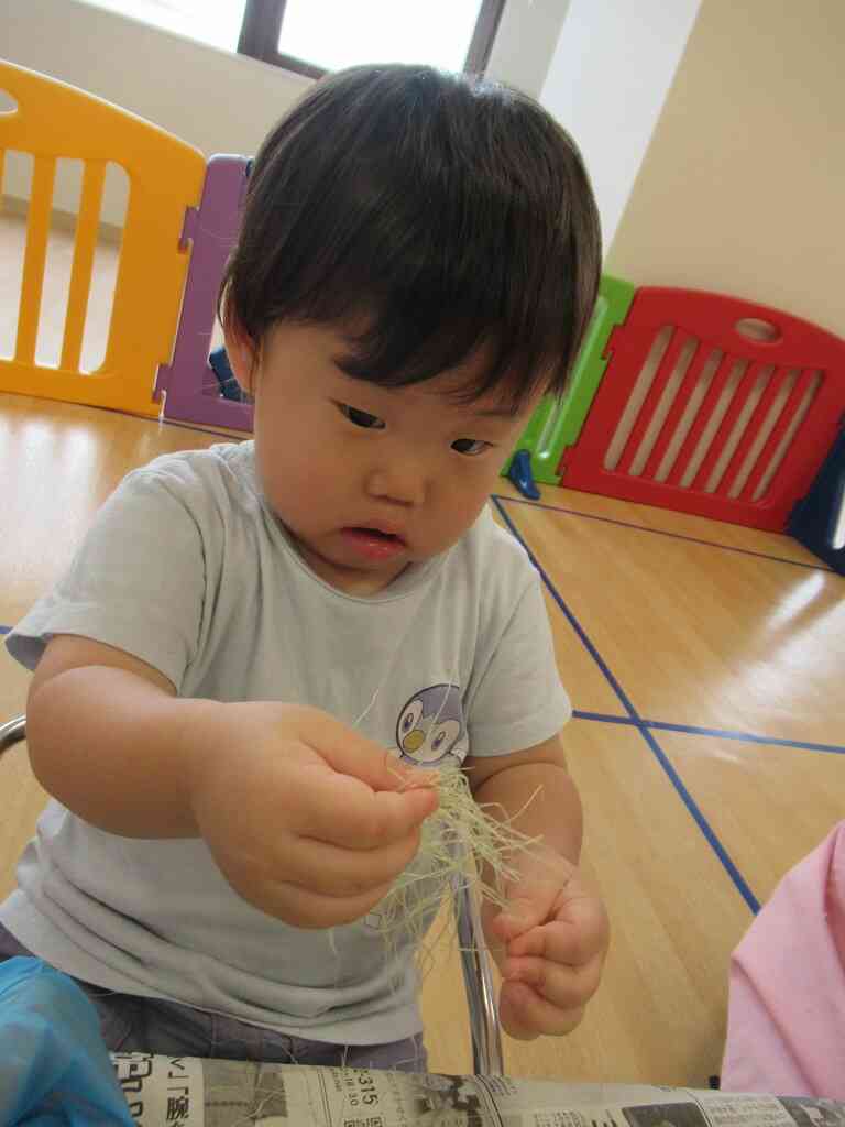 トウモロコシさんのおひげもたくさん取れましたね～