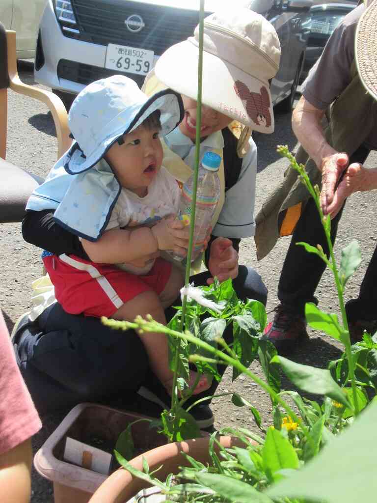 大きくなってね
