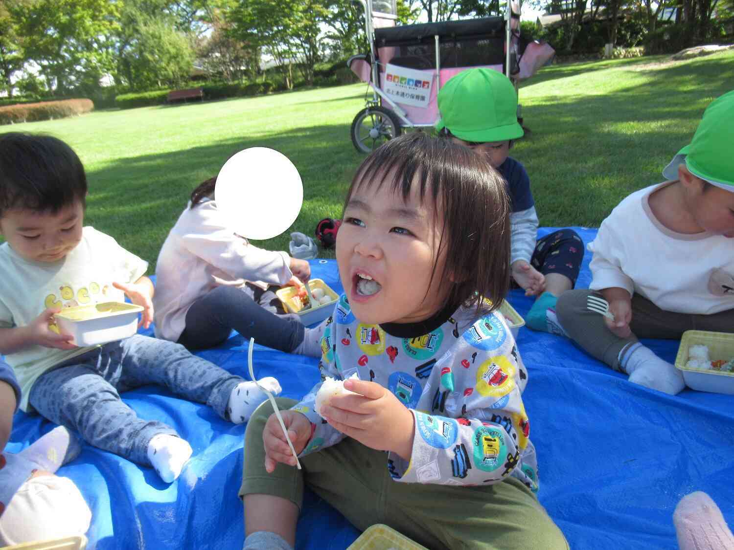 青空の下でお弁当