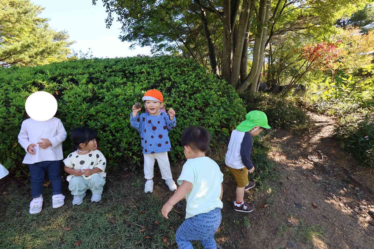 なんでだろう？見て、聞いて、触って