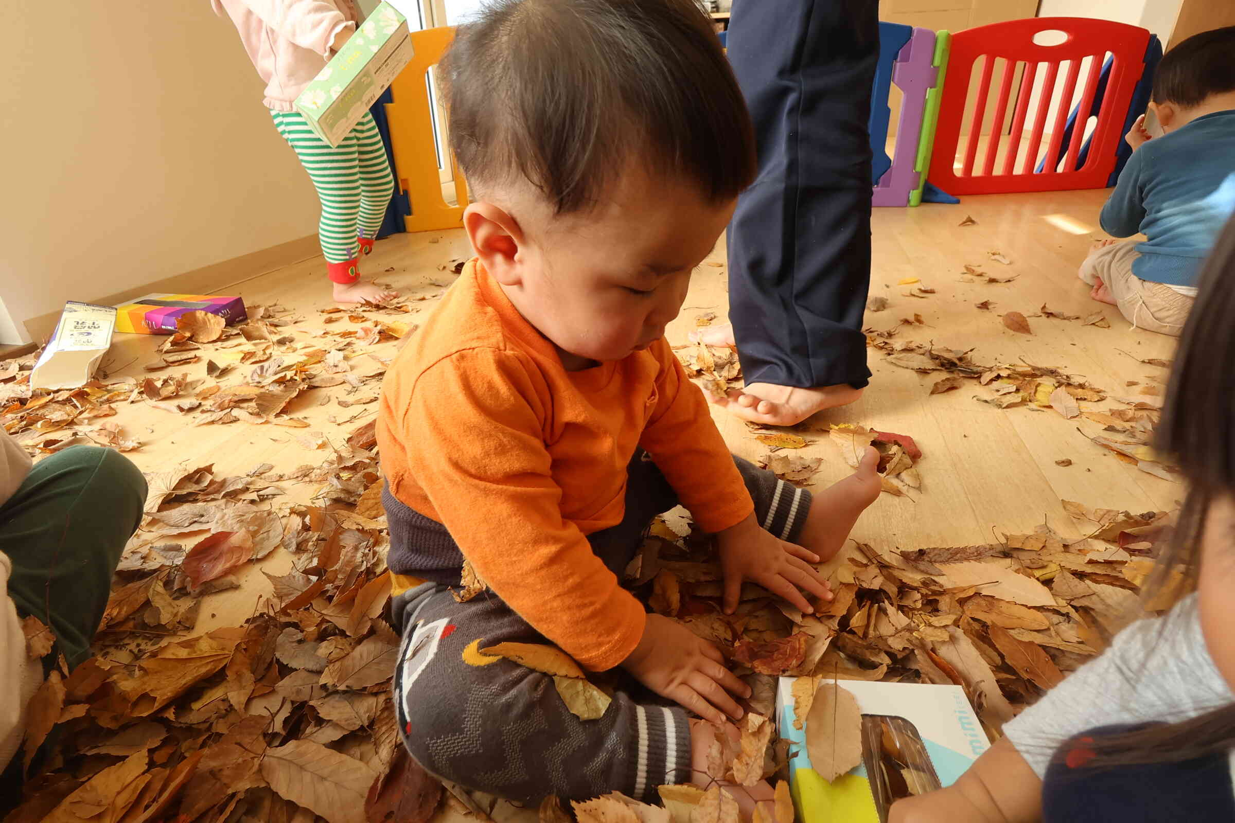 落ち葉遊び（ひよこ・うさぎ組）