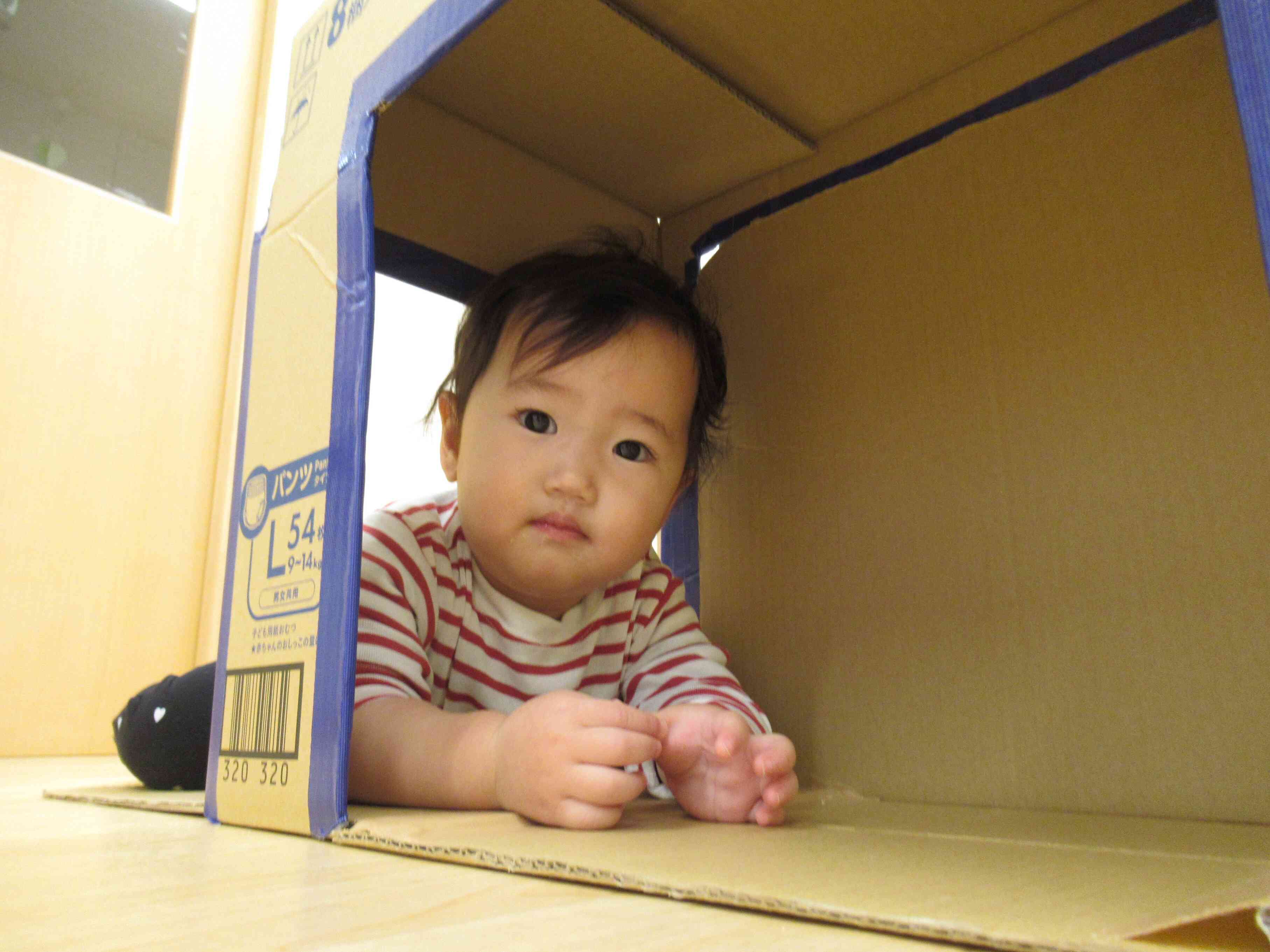 トンネルの中はこんな感じだよ