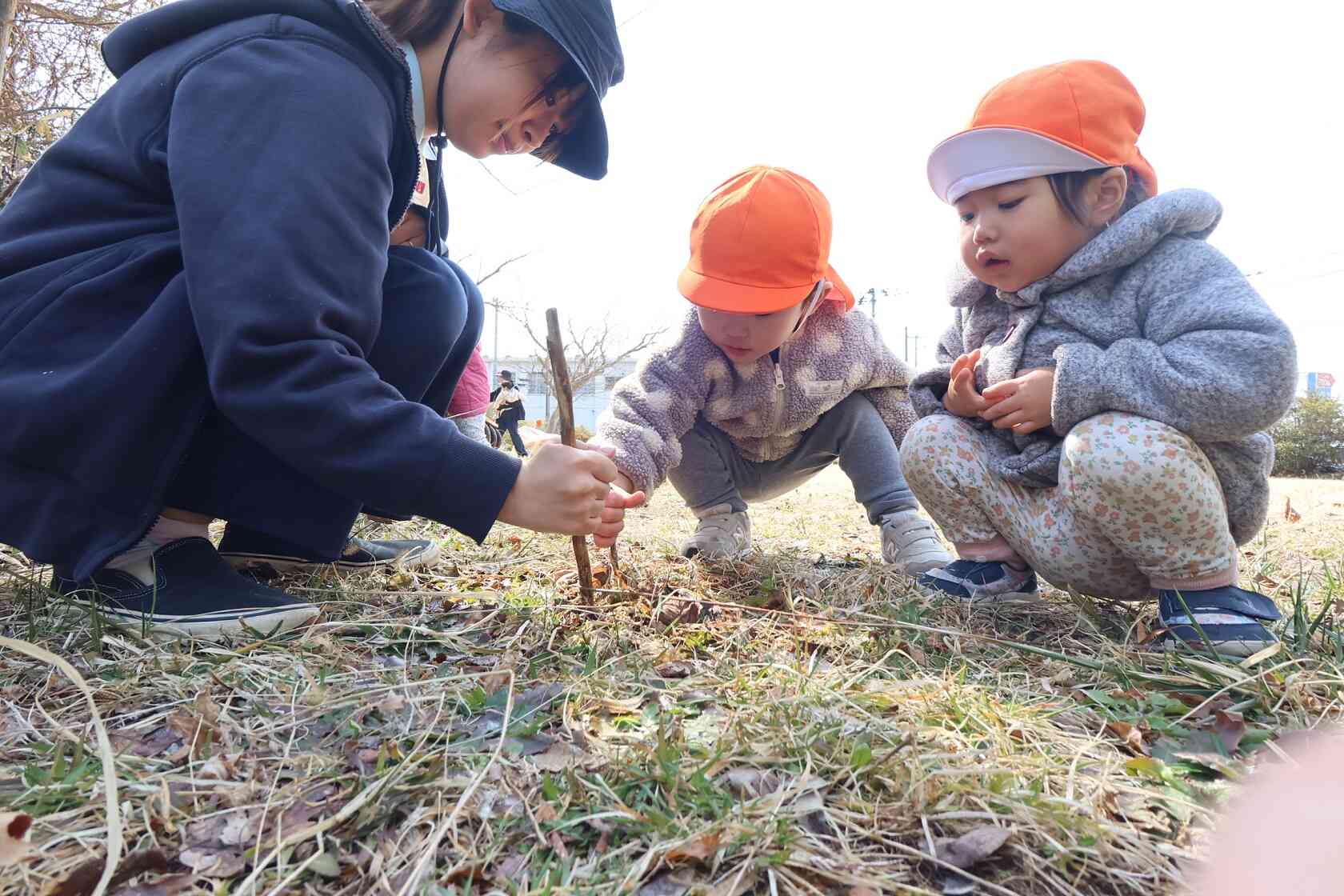ダンゴムシはいるかな？