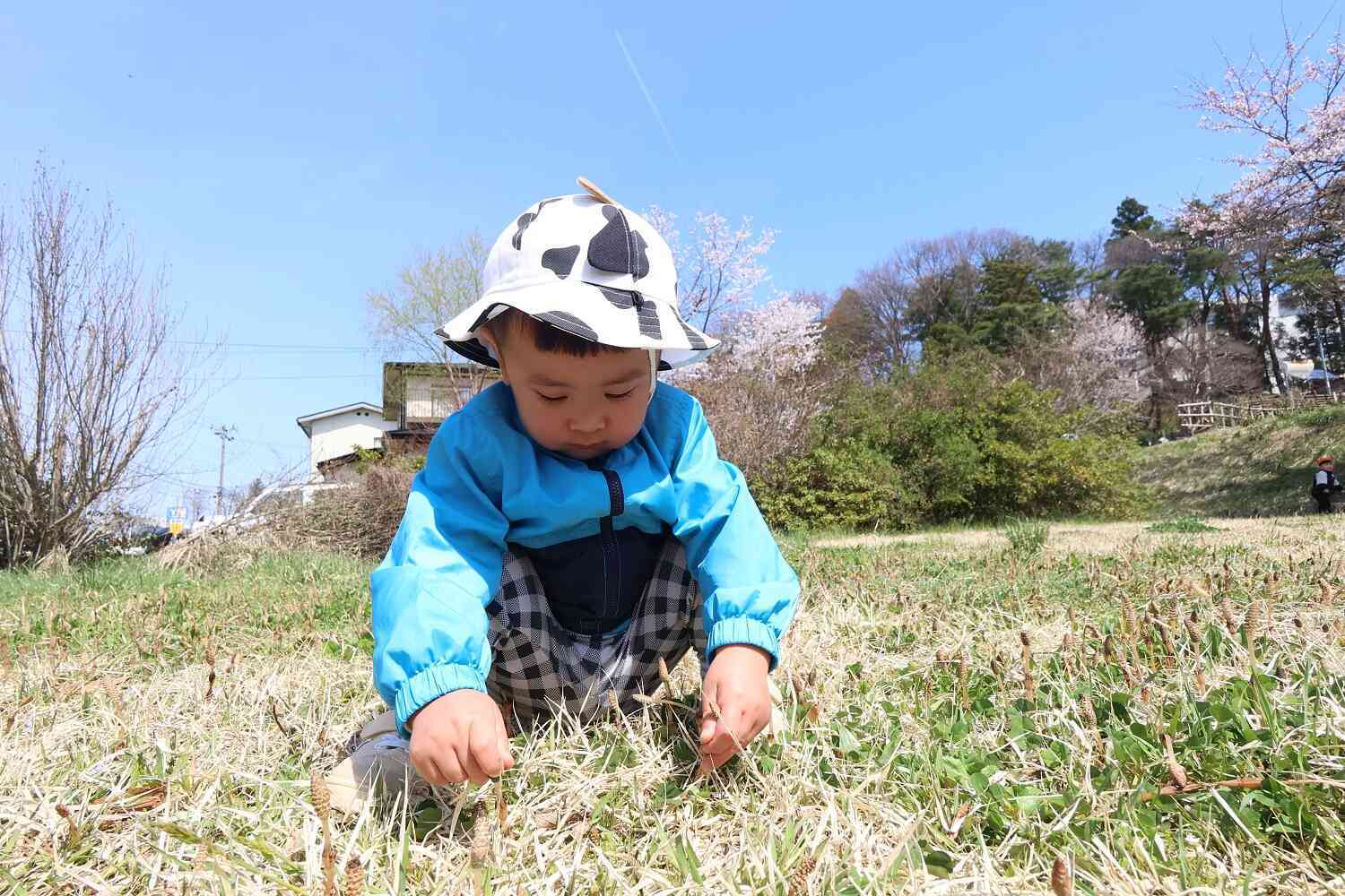 お散歩