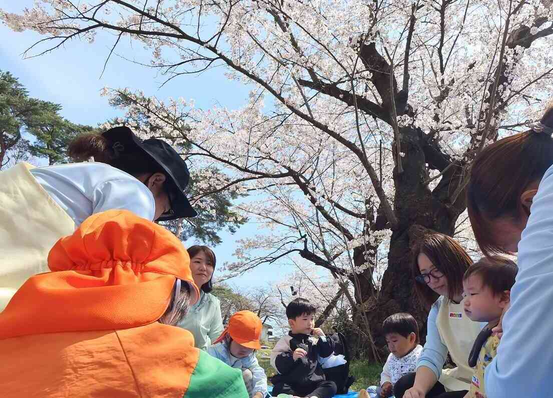 お花見