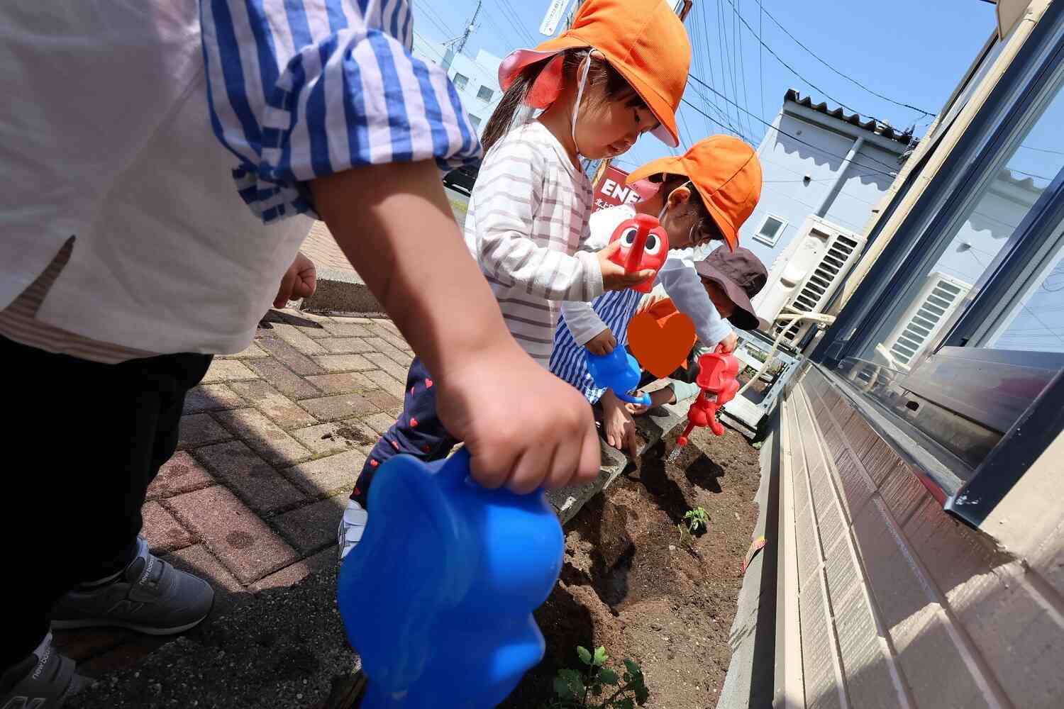トマトを植えたよ