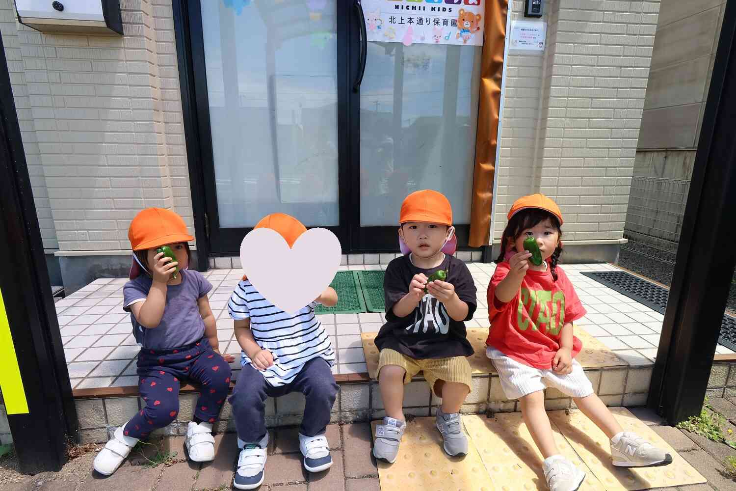 ピーマンを収穫したよ