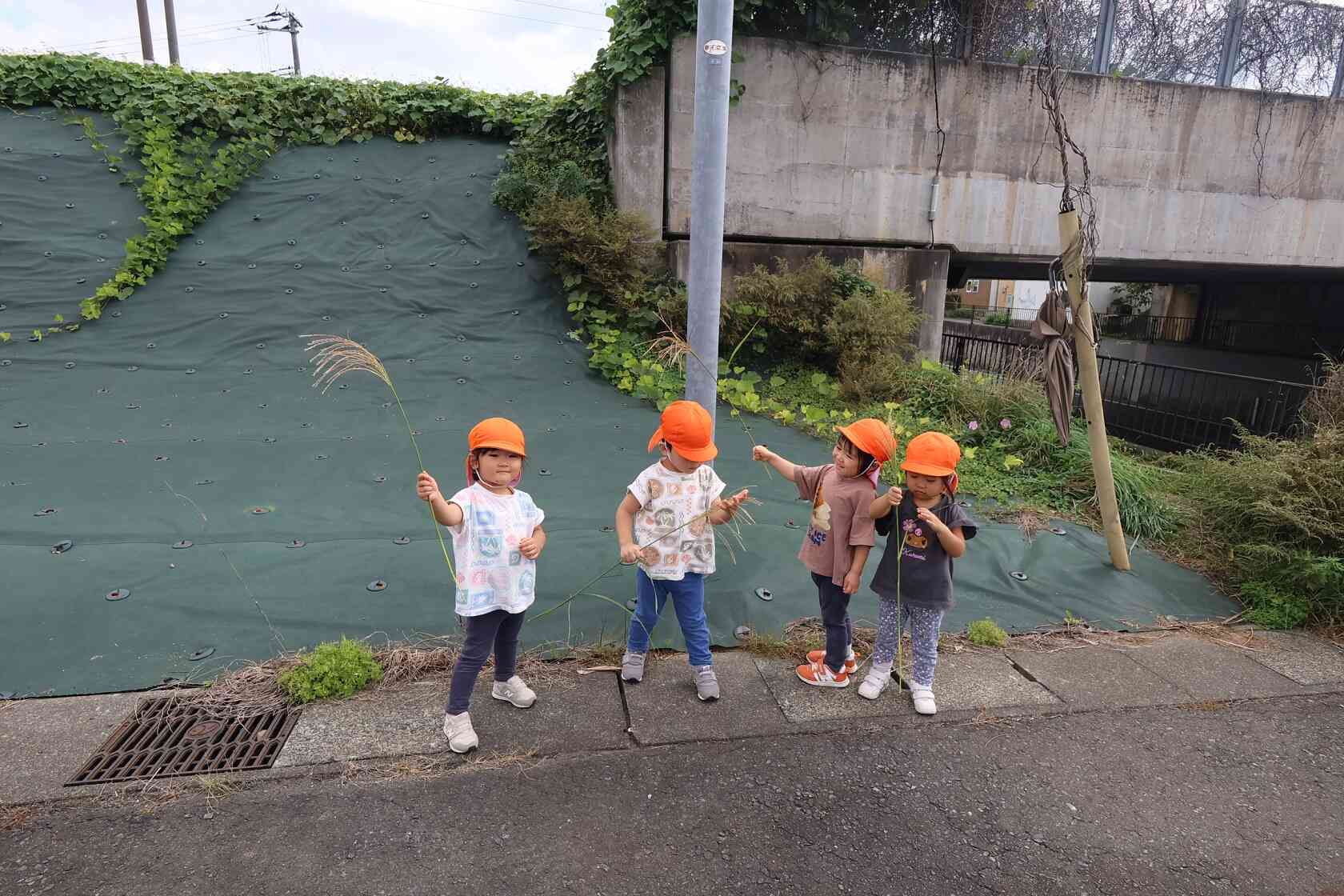 秋の訪れを発見！