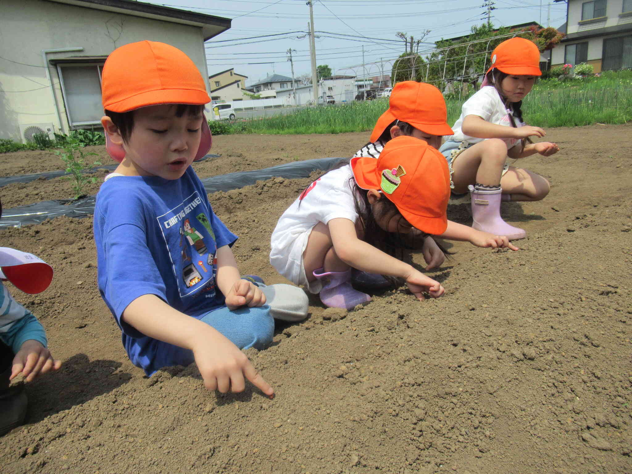いっぱい学ぼう