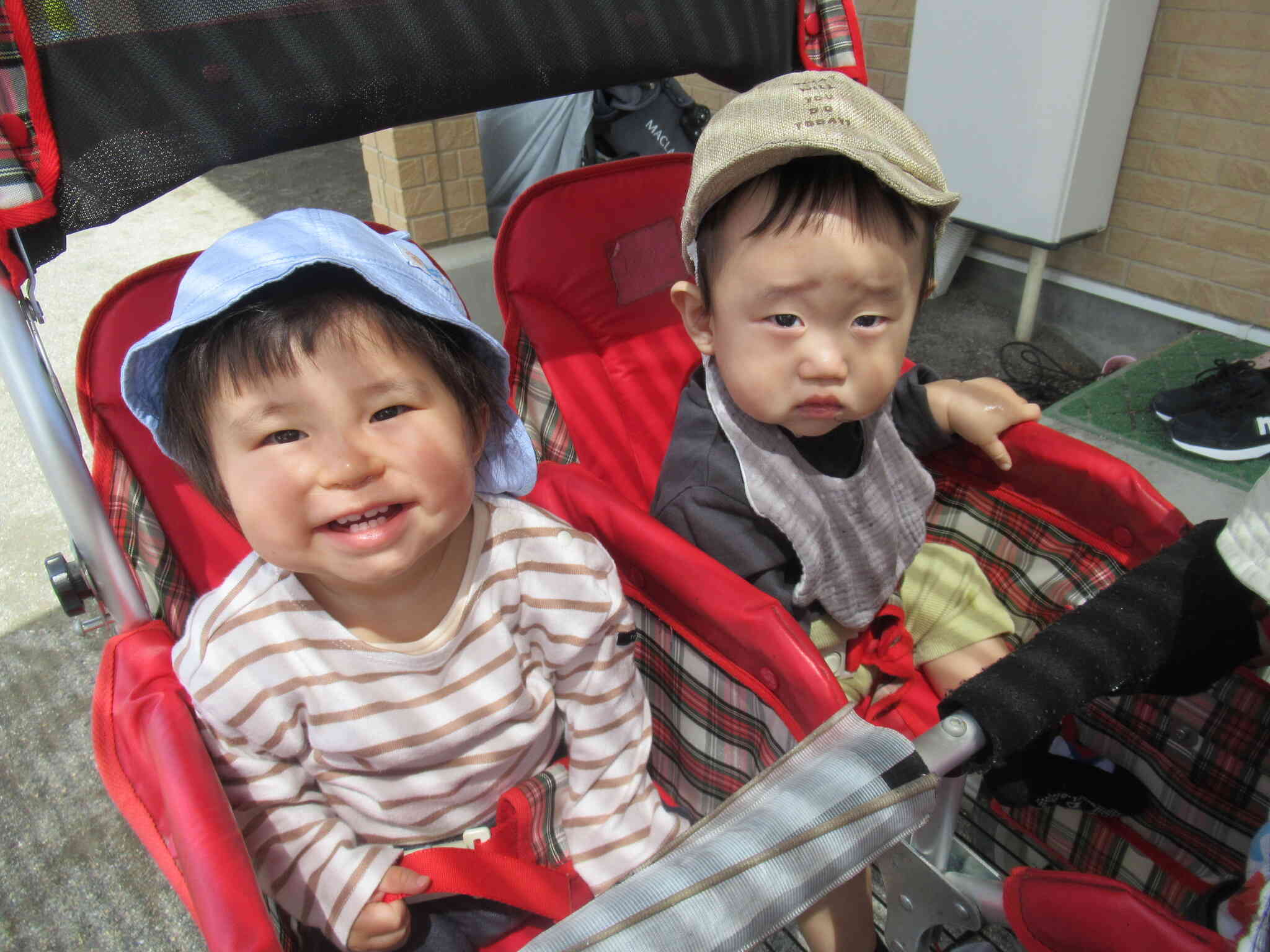 散歩車に揺られてレッツゴー！