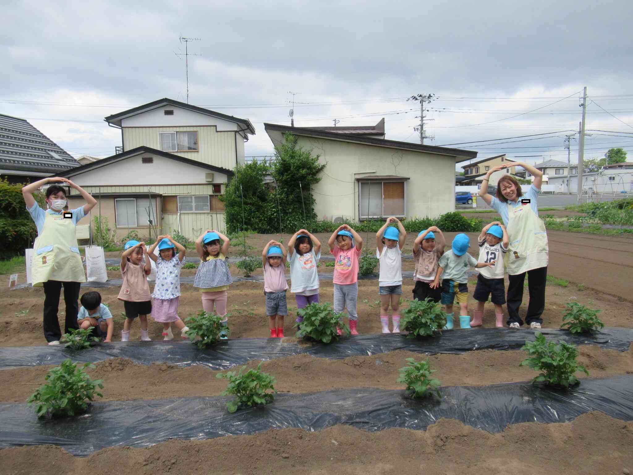 野菜が大きくなってたよ～　答えは分からなかったぱんだ組でした。