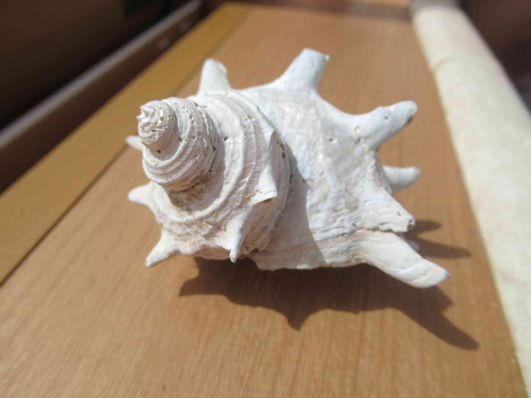 こんなに綺麗に