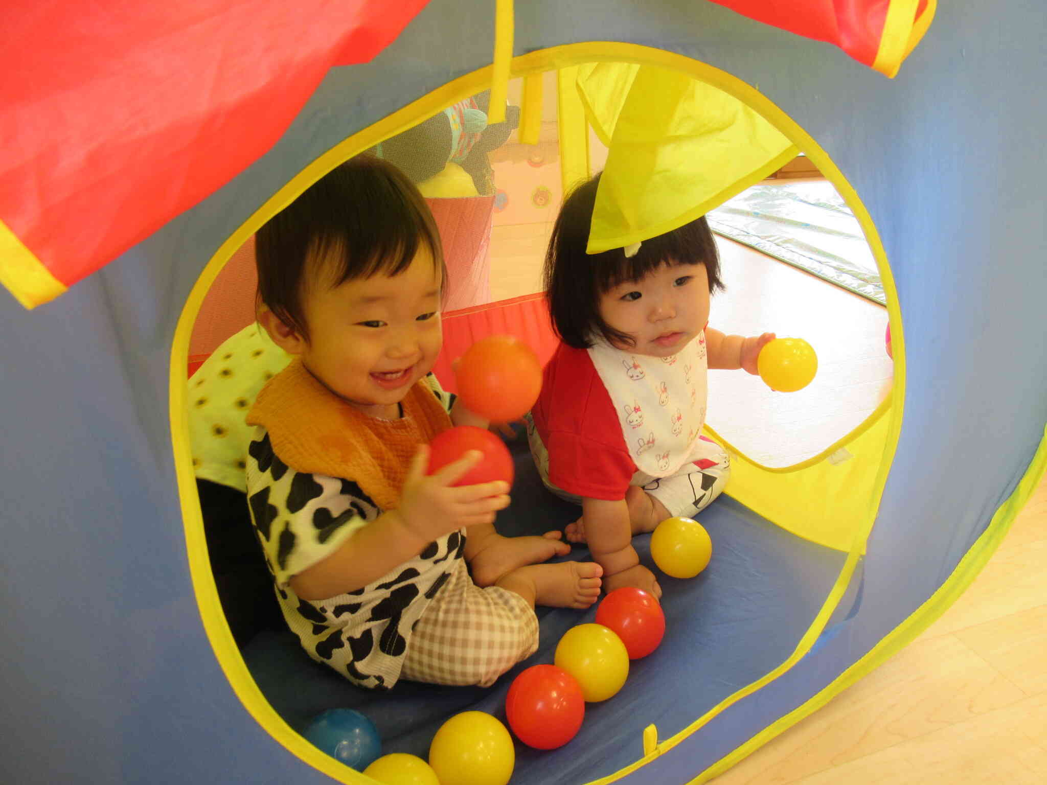 0歳児　ひよこ組