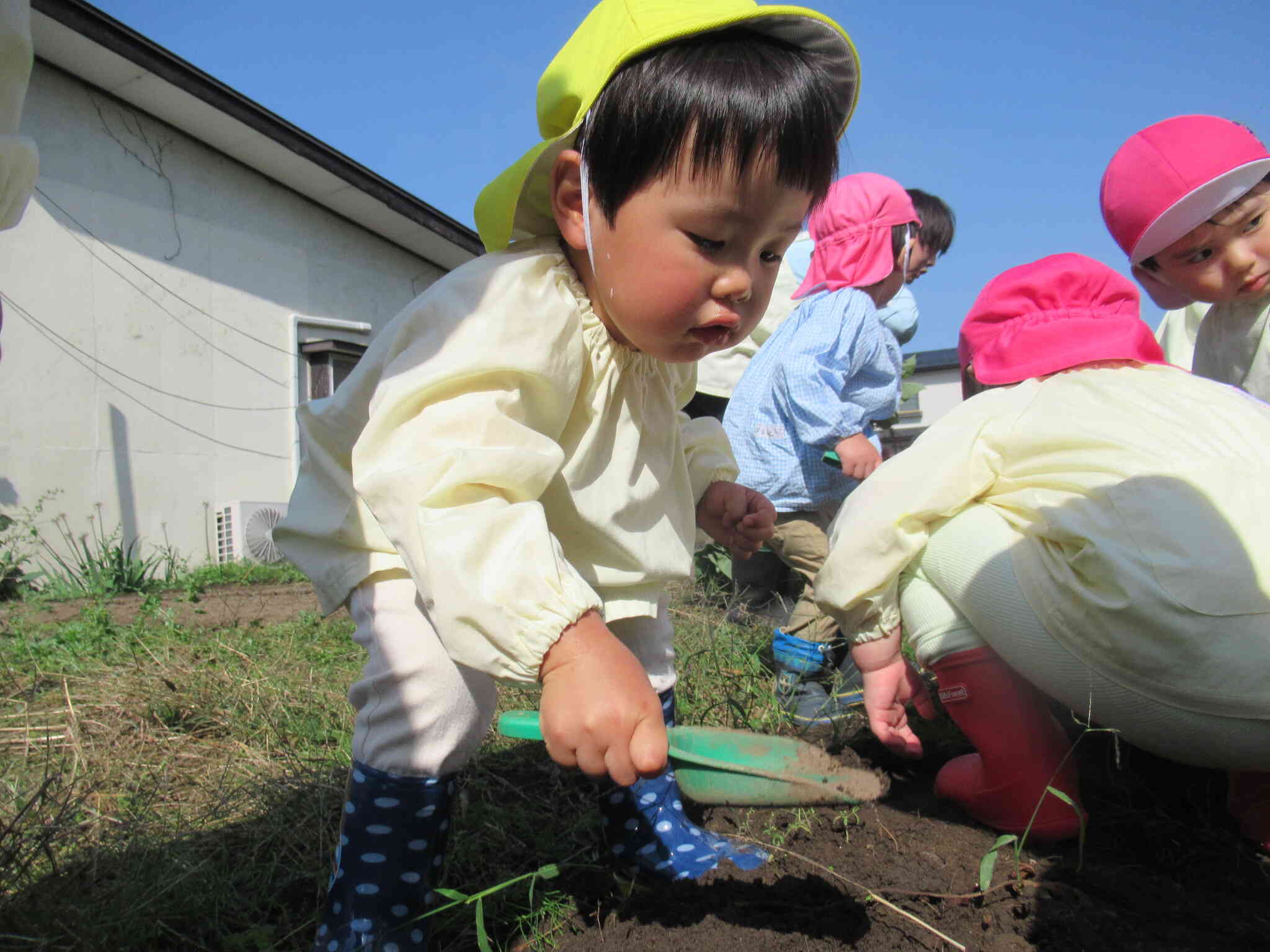 どれにしようかな