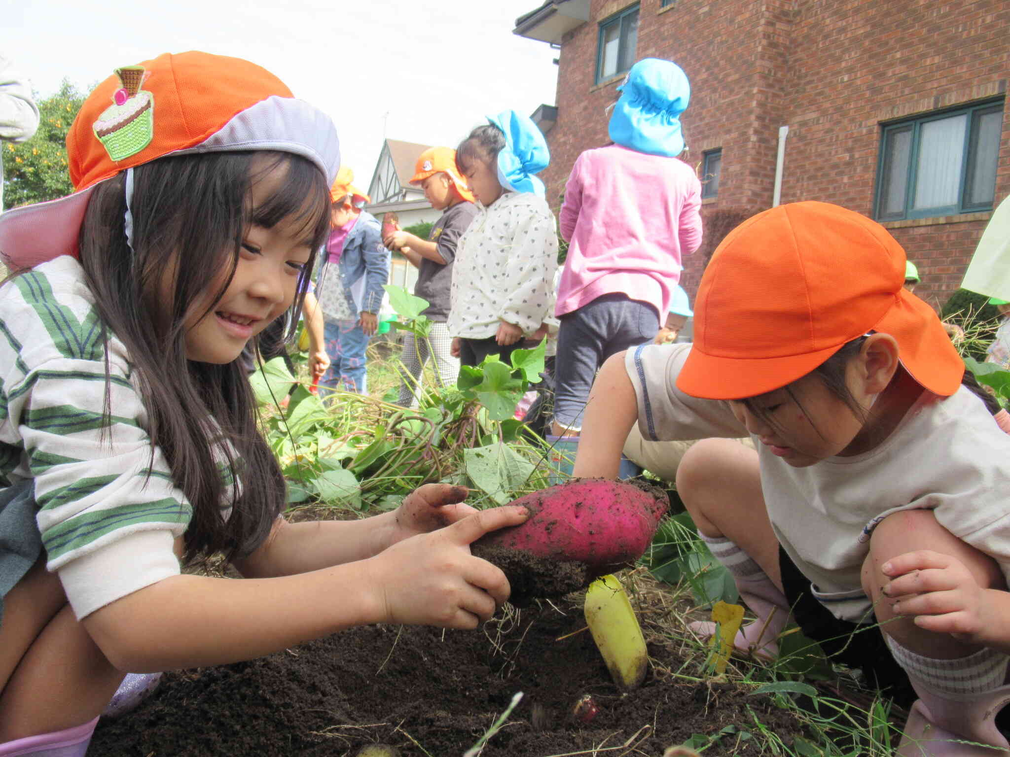 おいしそうだね。