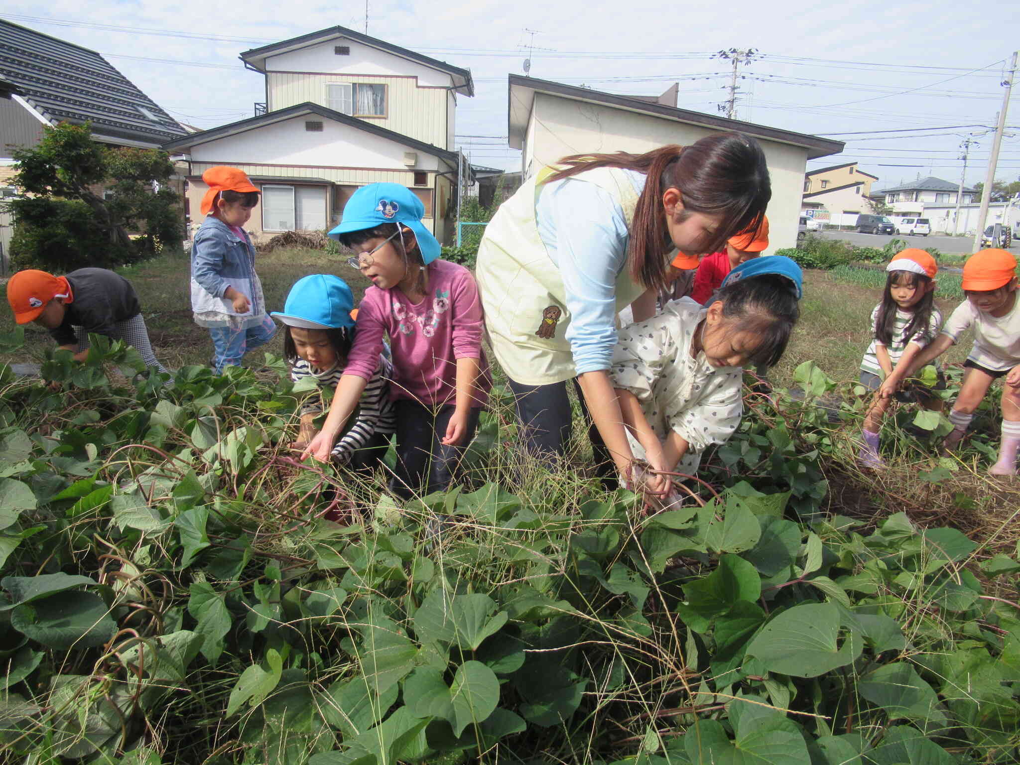 りす・ぱんだ・きりん野菜で遊ぼう