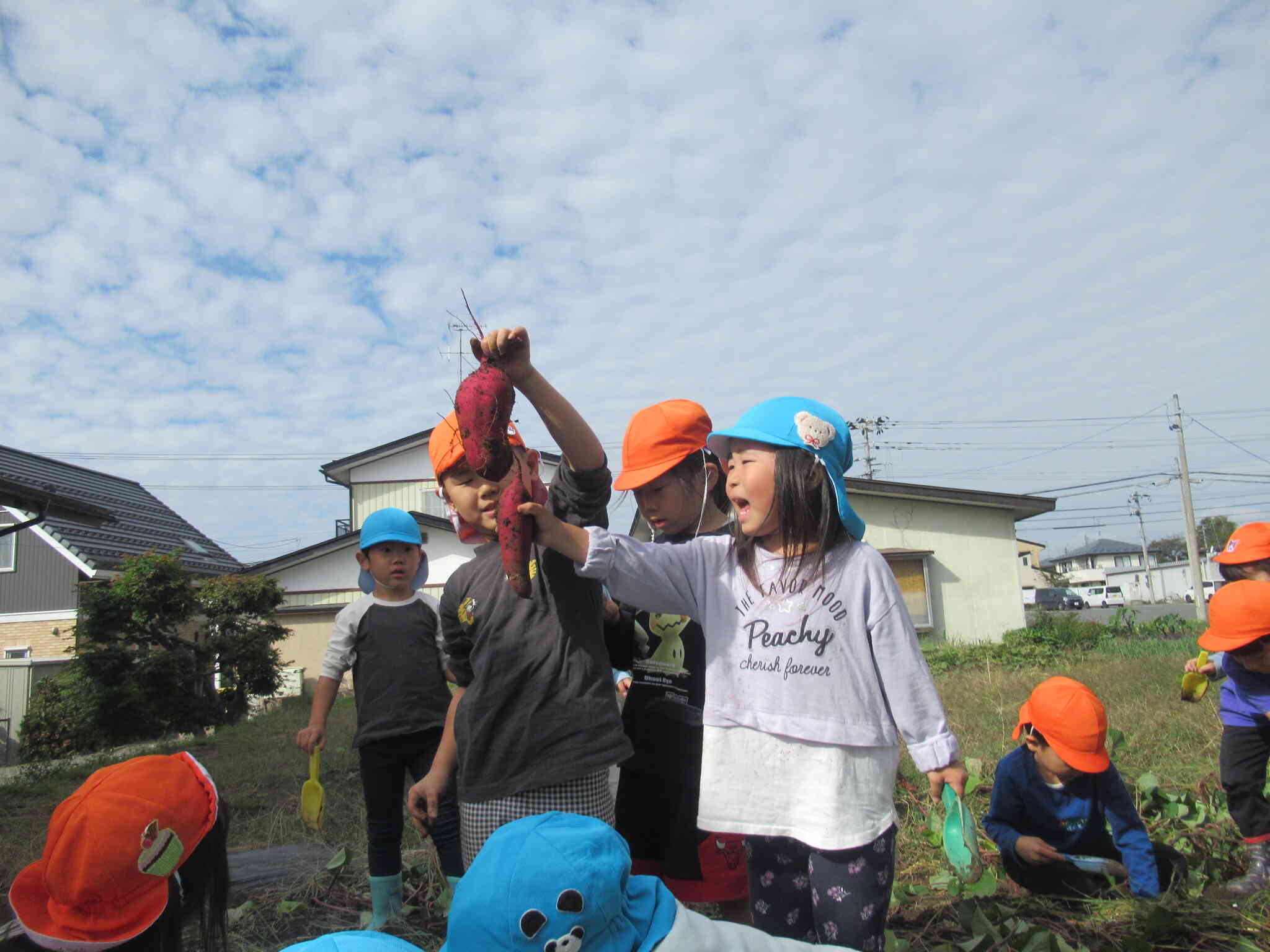 あるぞあるぞ！