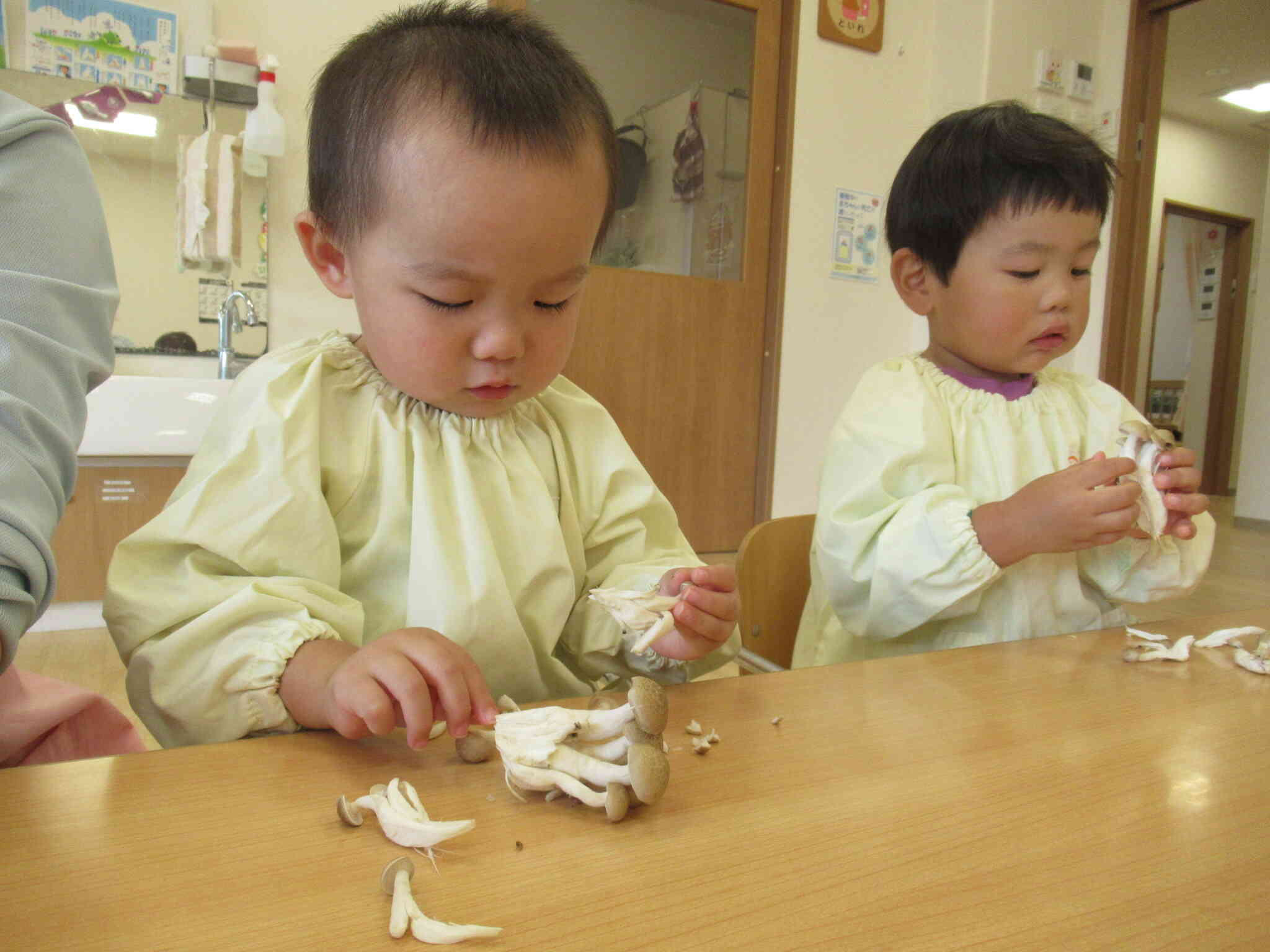 食育活動～きのこさき～　　1歳児あひる組