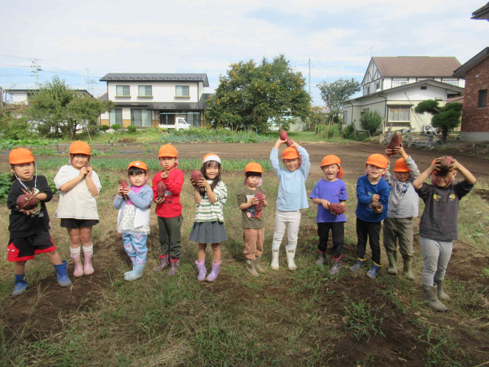 野菜の栽培活動