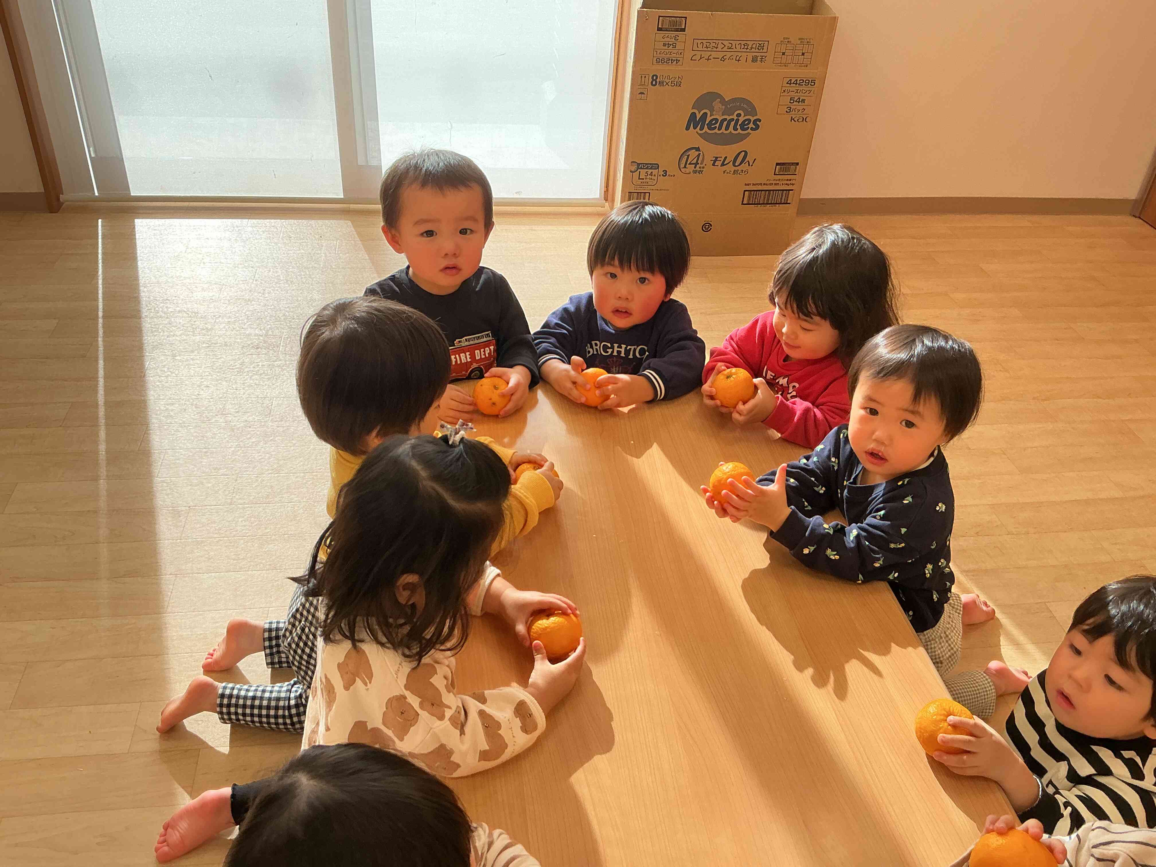 ゆずに触れてみよう