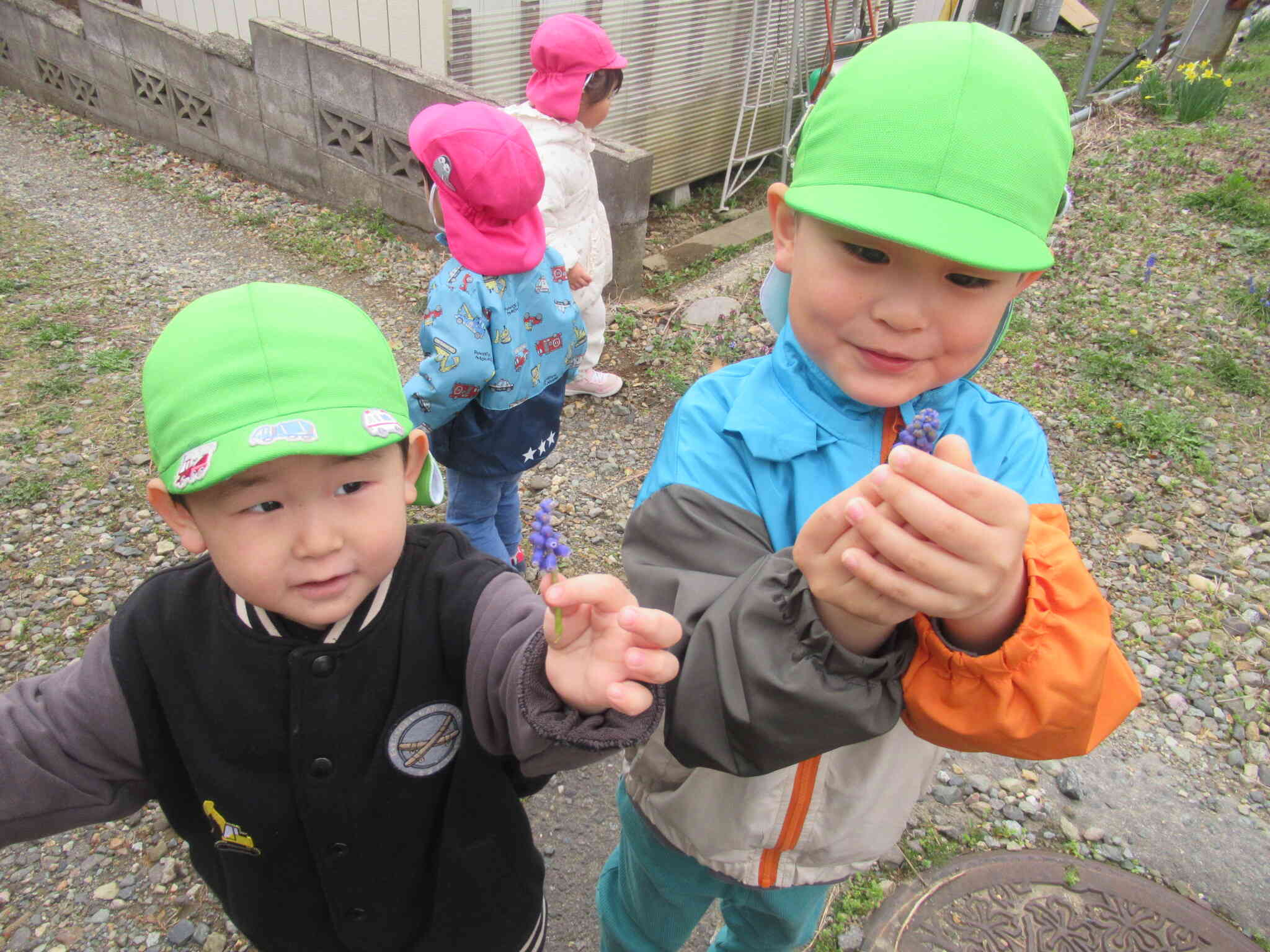 春のお花、見つけたよ！