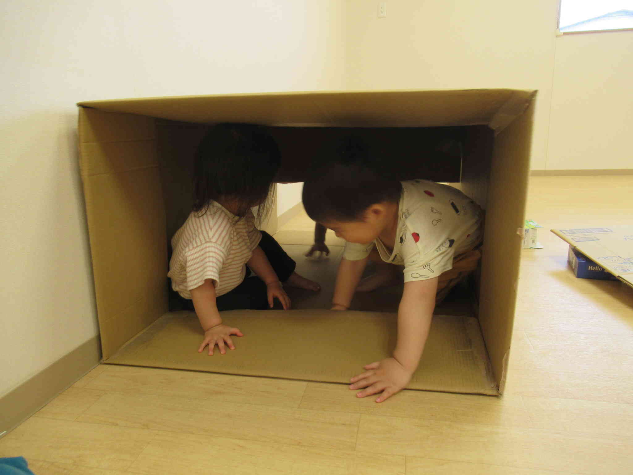 秘密基地みたい！