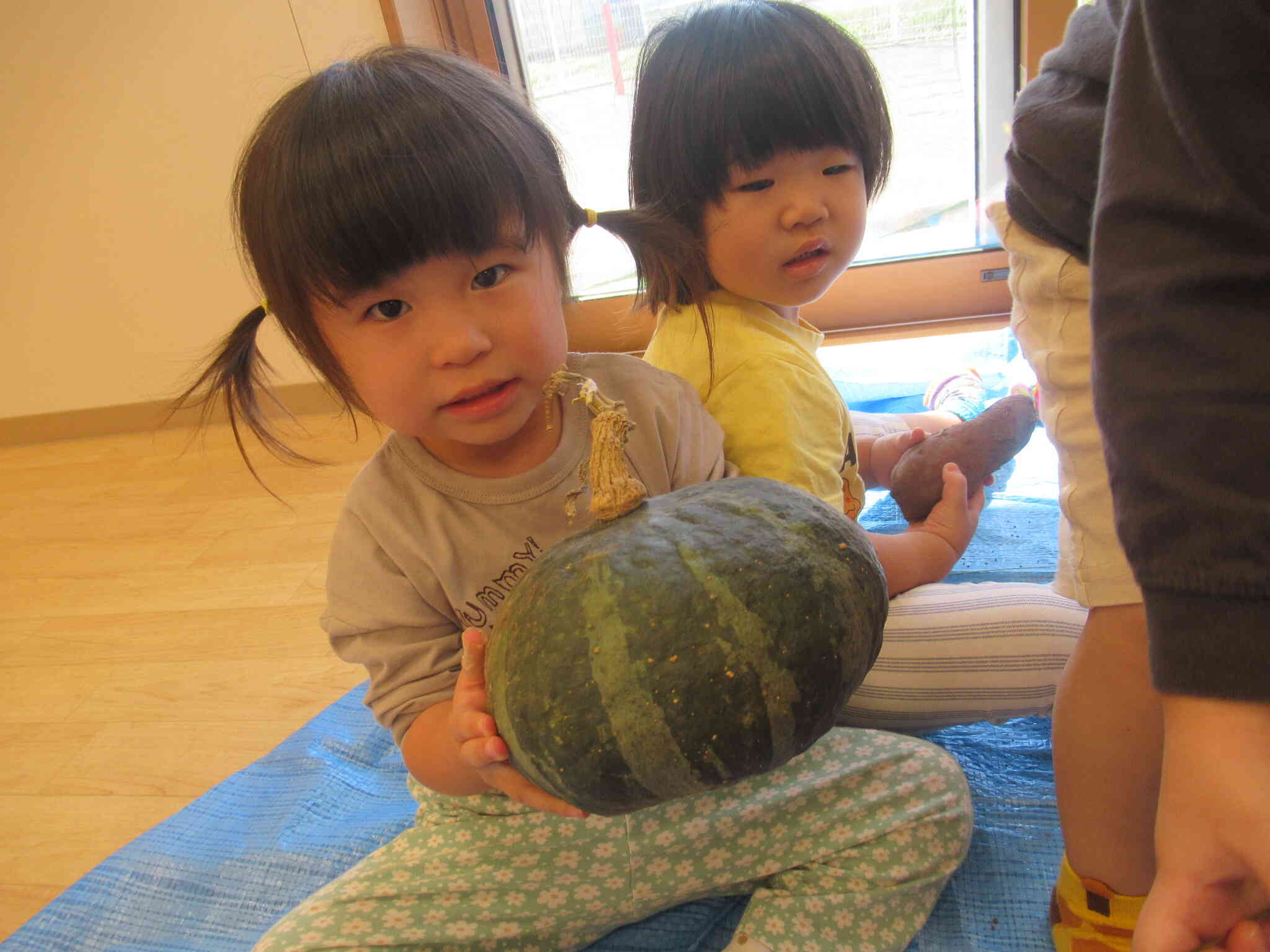 秋の野菜に触れてみよう！（1歳児あひる組）