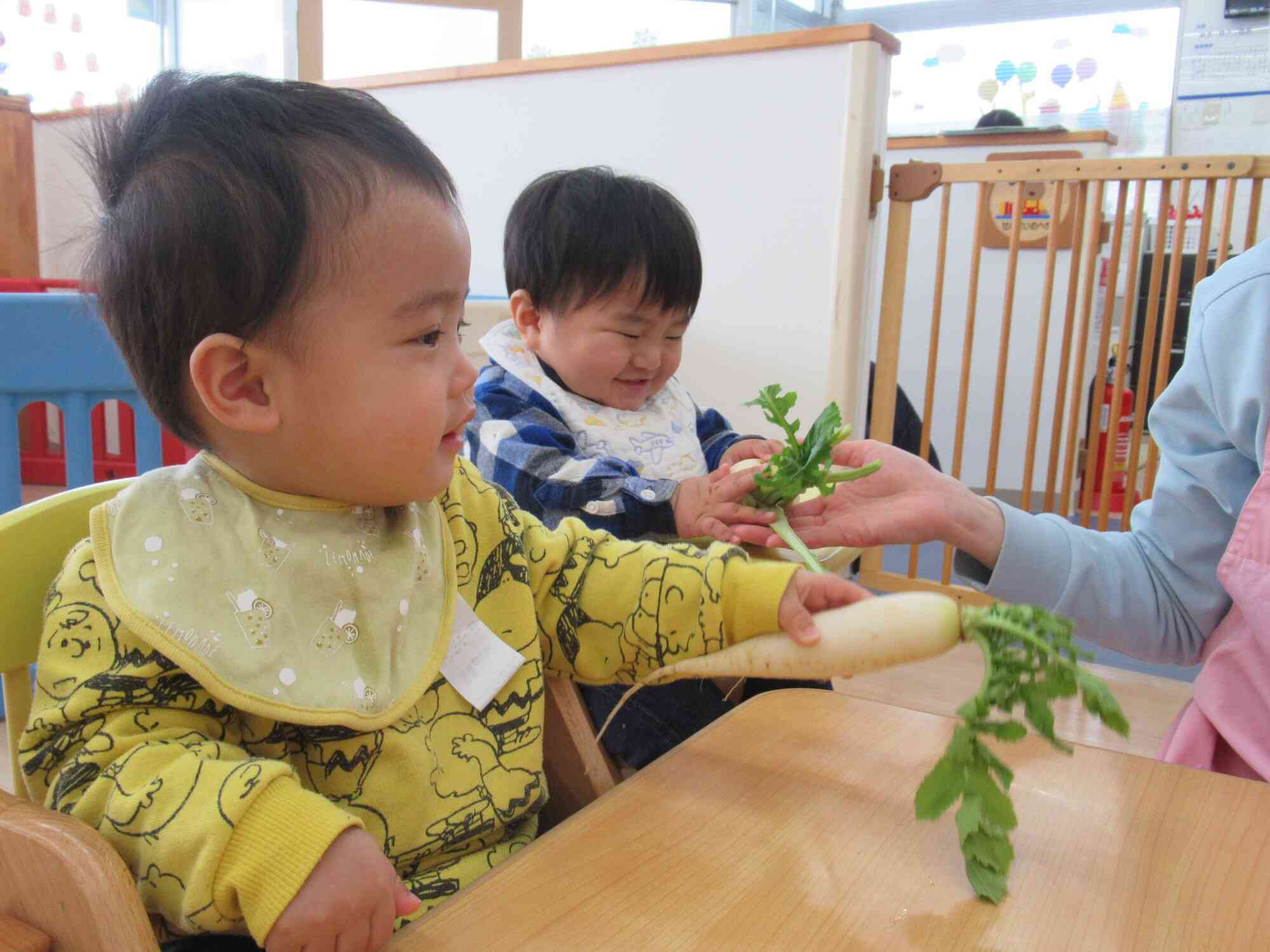 大根の葉っぱってこんな形なんだ
