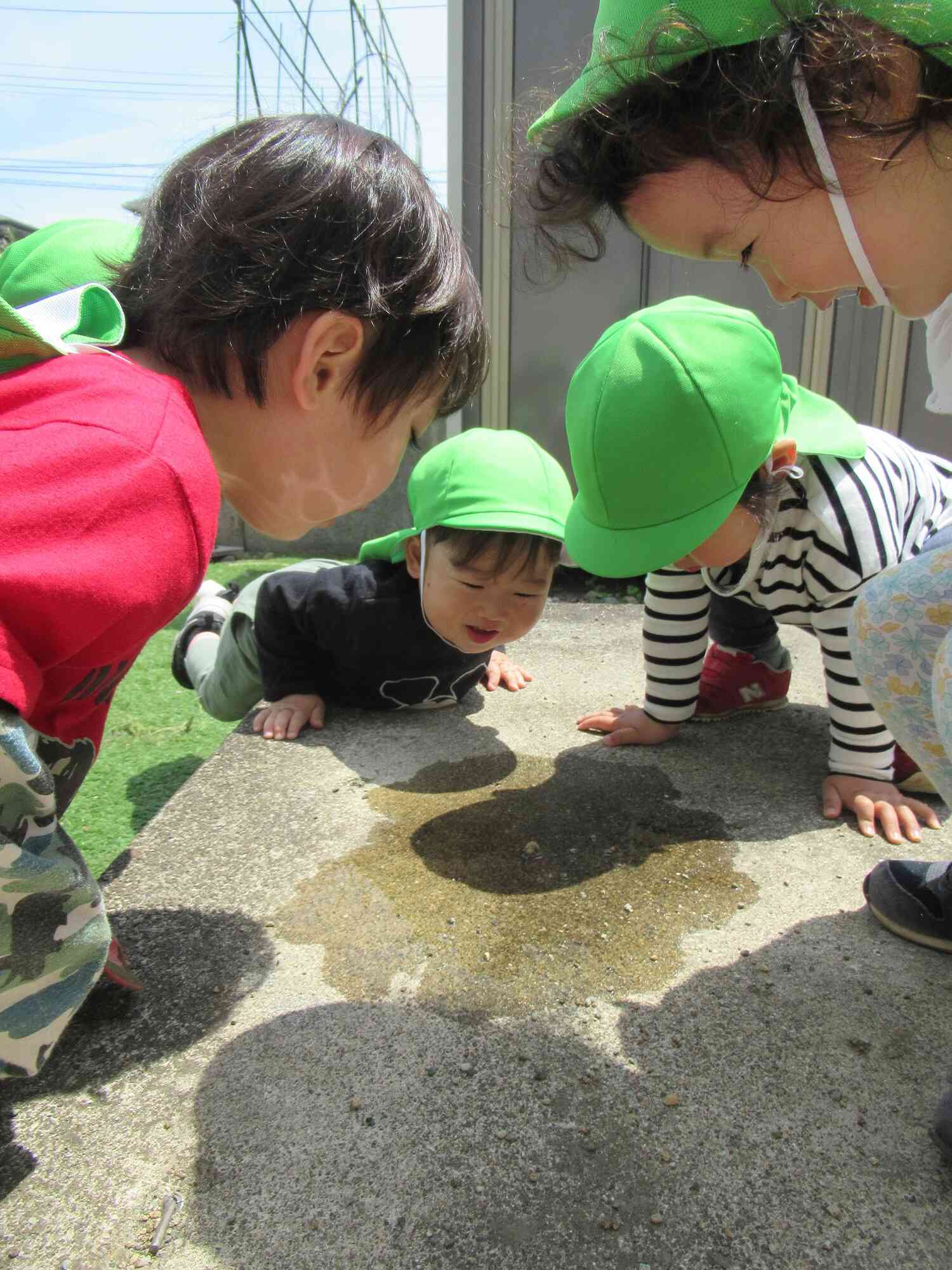 かたつむりさん、発見