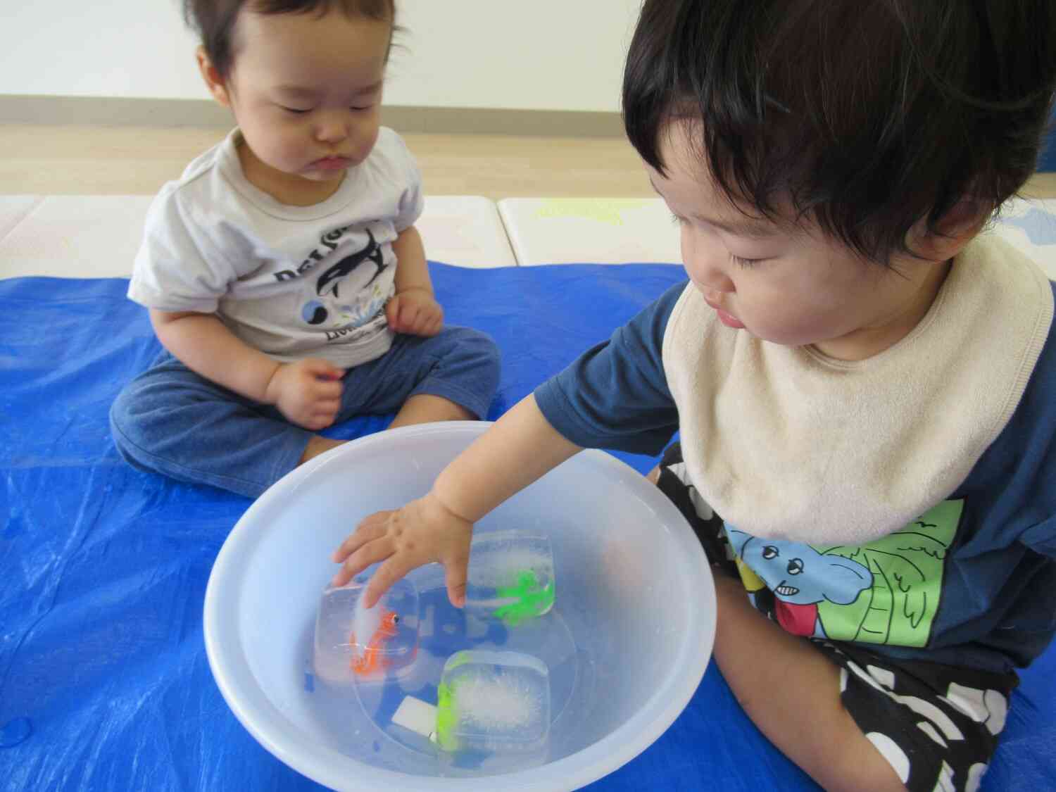 ひよこ組氷遊び（0歳児）
