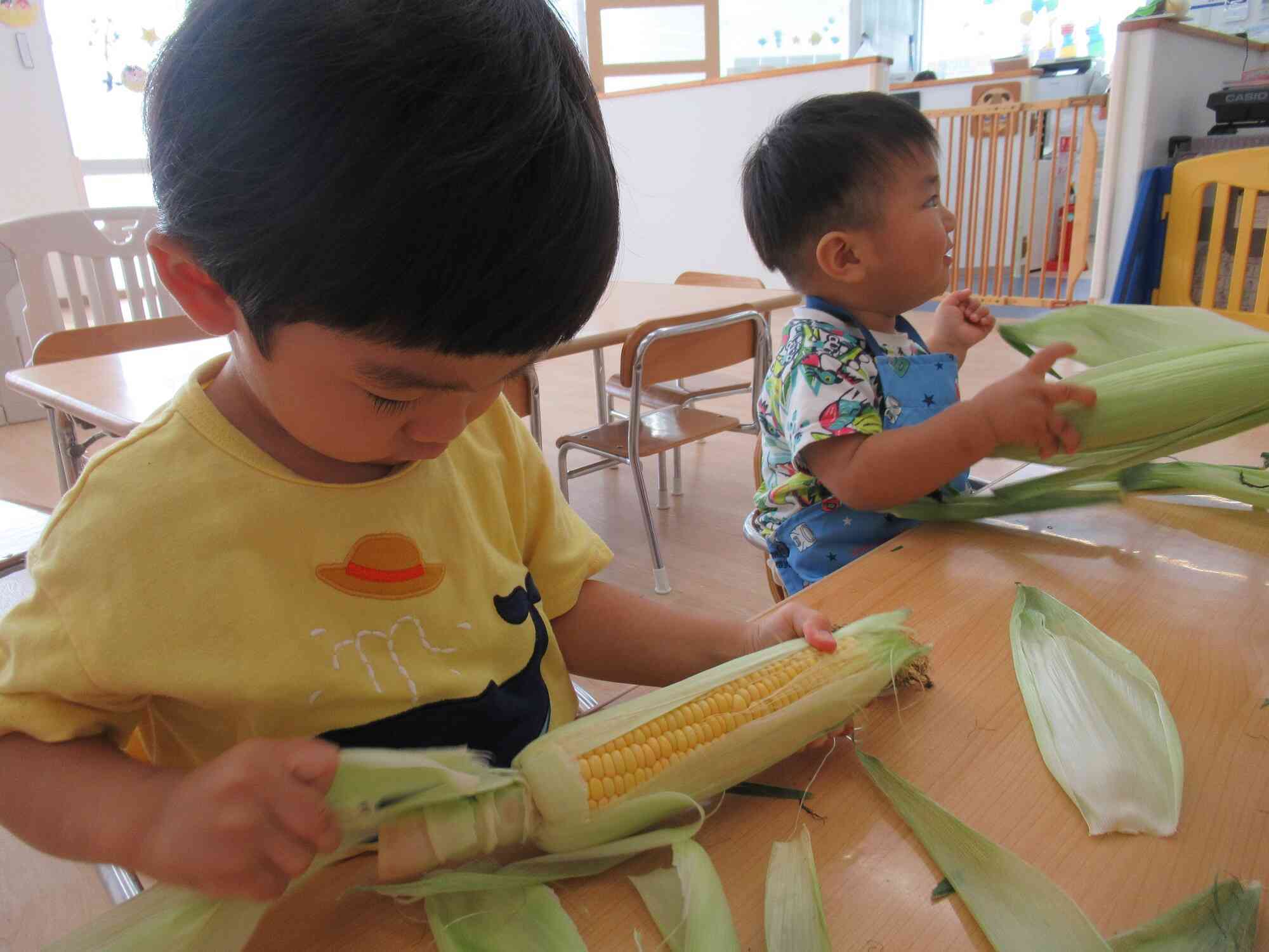 黄色い実が見えたよ