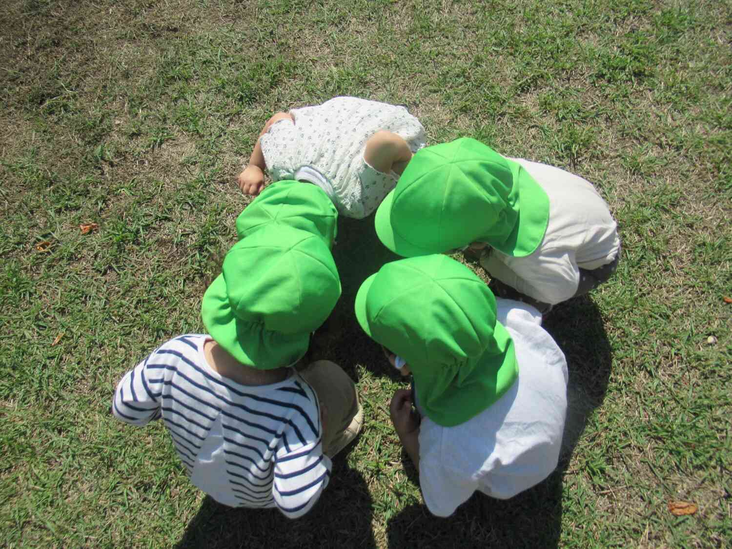 ありさん、いるかな？