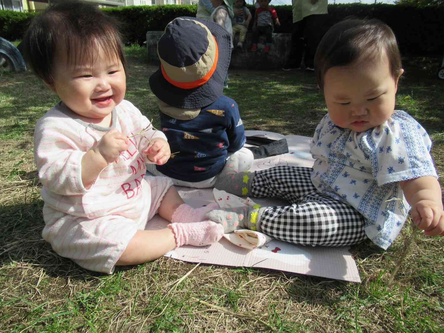 ピクニック気分だね