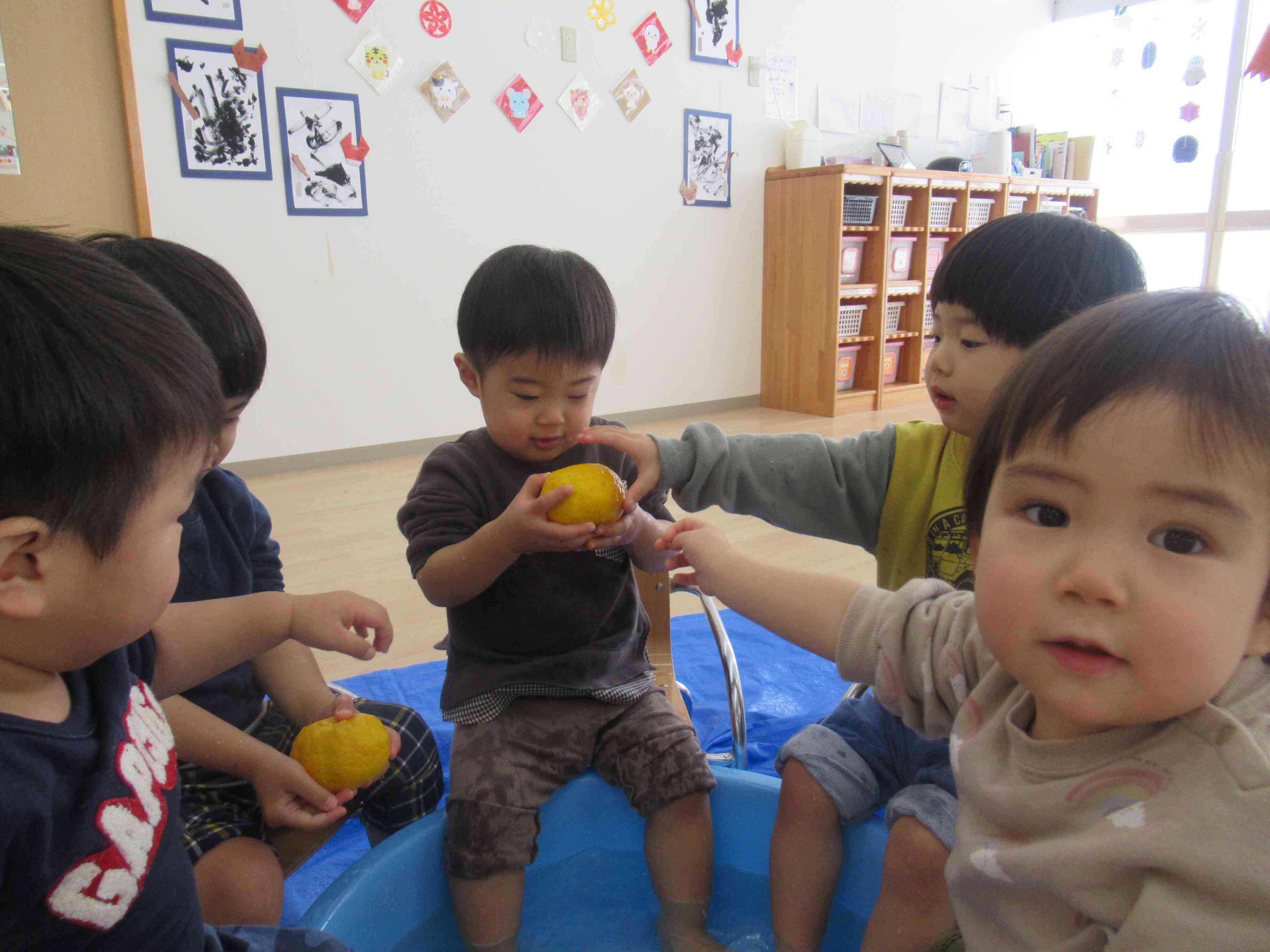 「ゆず」って何だろう