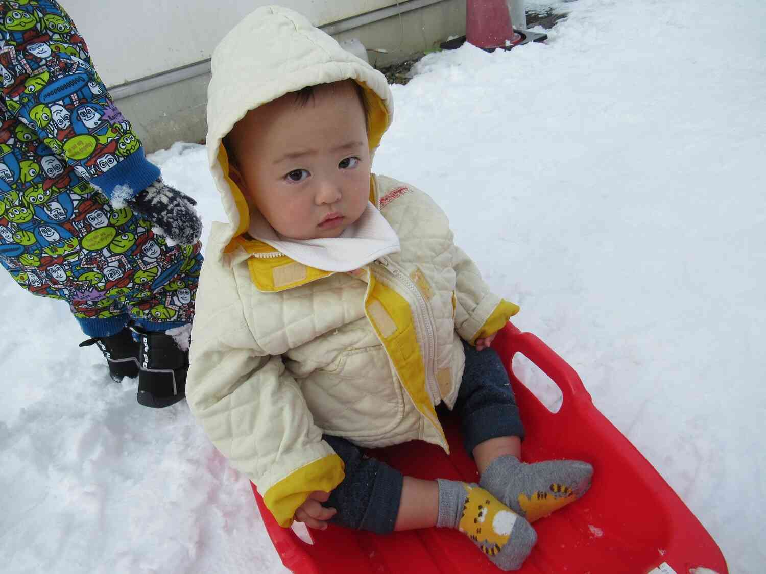 ソリに乗ってみたよ