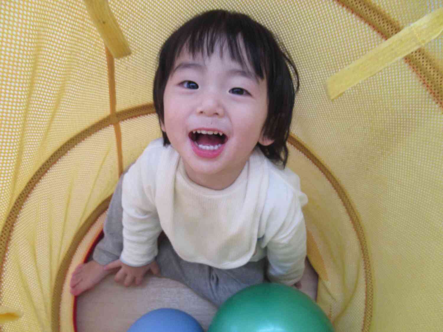 トンネルの中がお気に入り