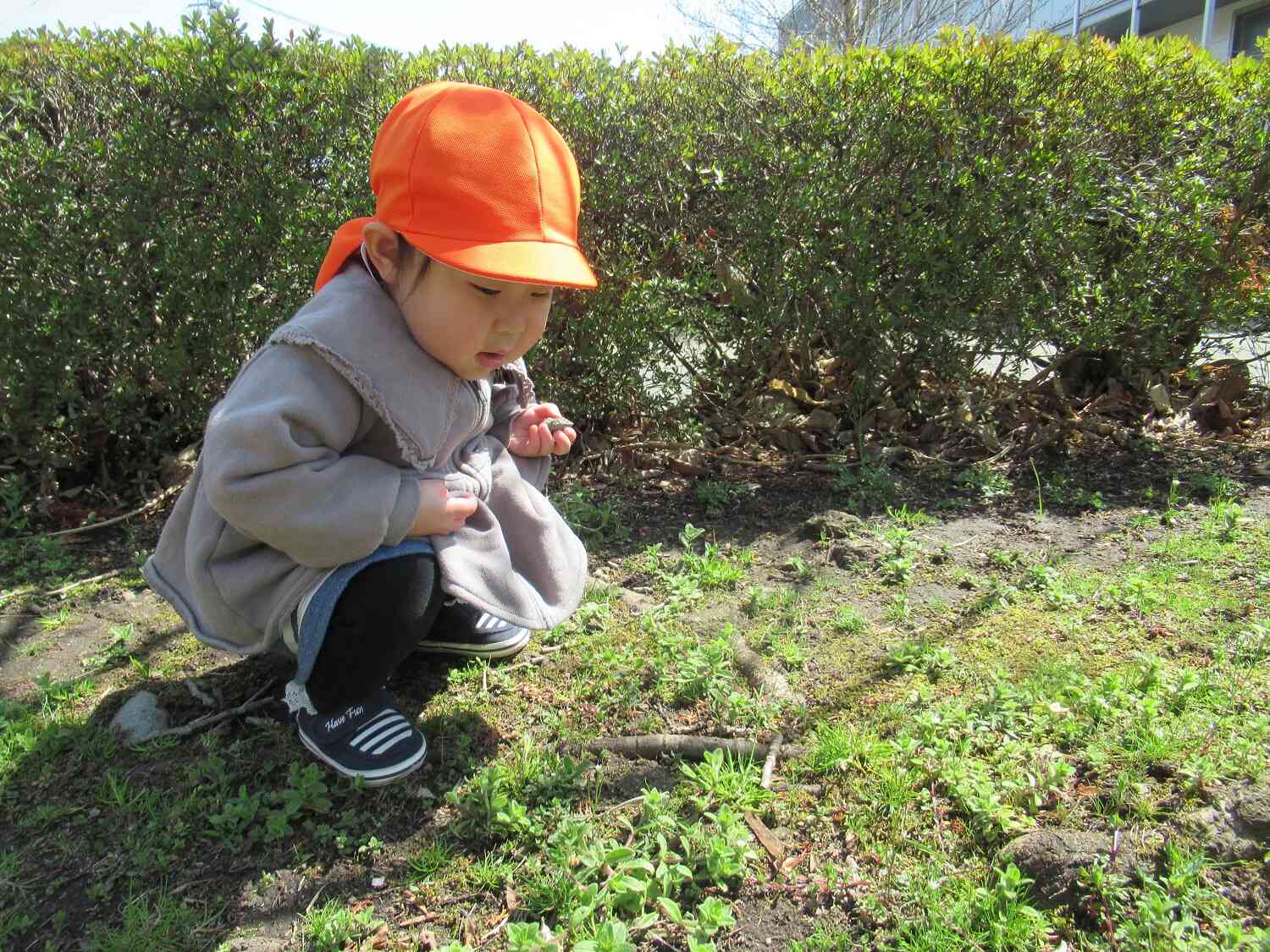 ぽかぽか太陽を浴びながら