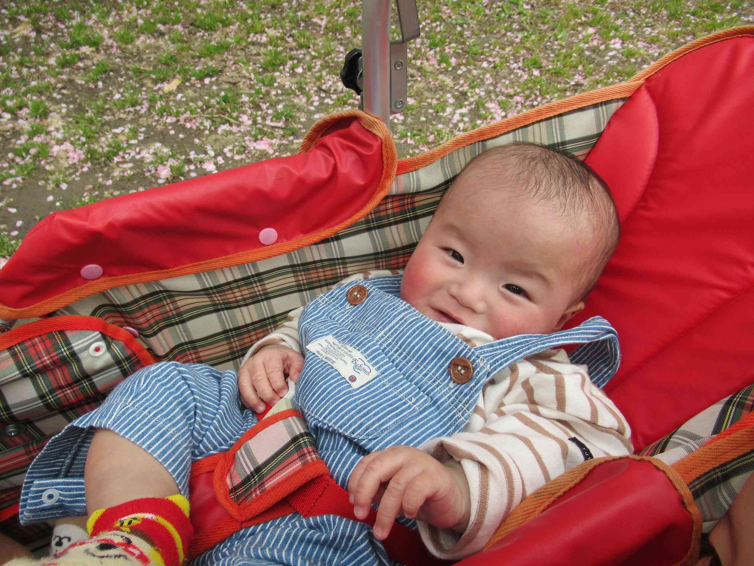 ポカポカ気持ちいいね