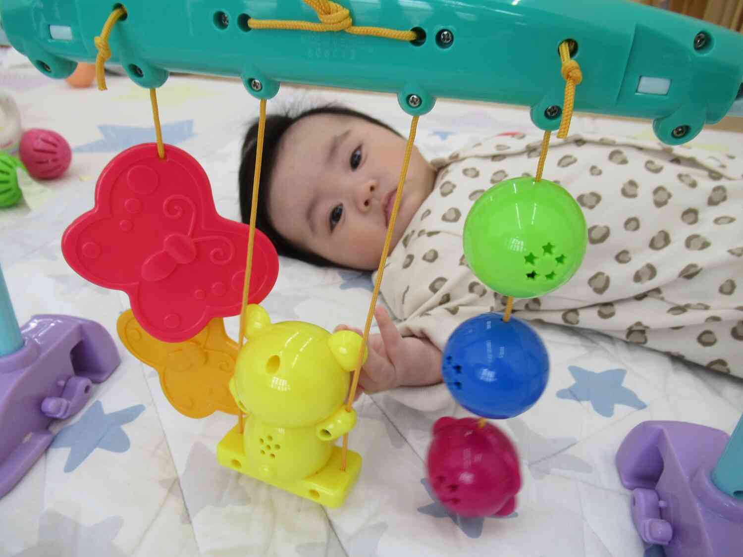 気になるおもちゃを見つけたよ