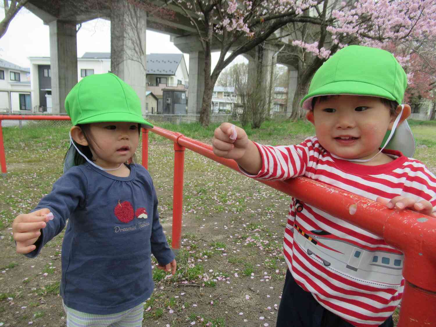 花びらみーつけた！