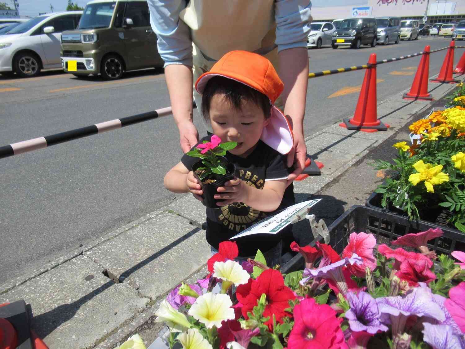 大事にお花をもつおててが可愛いです。