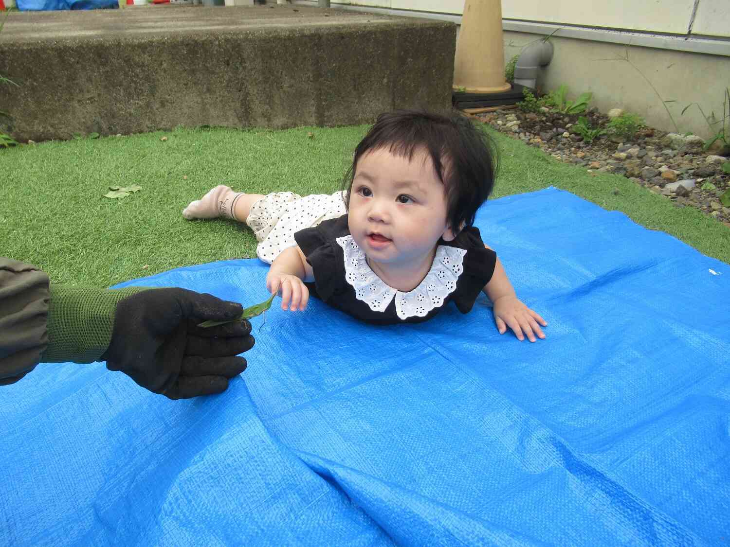 なにこれ~
